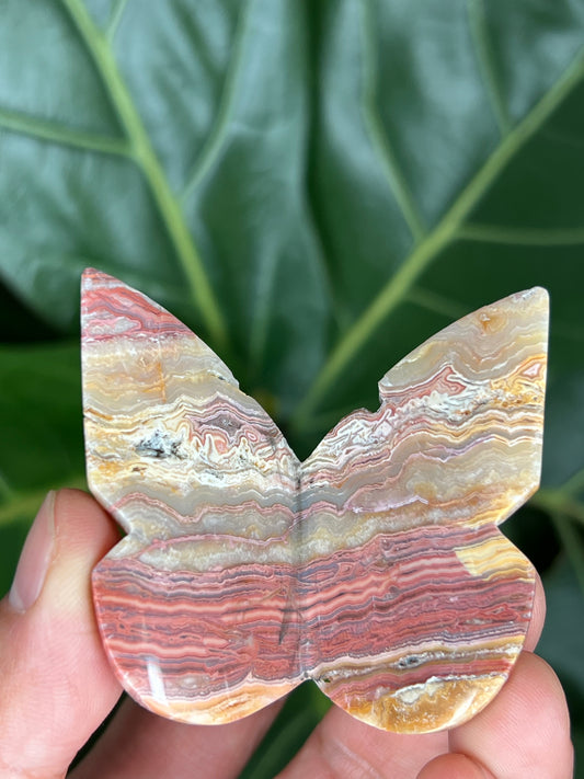 3D Butterfly Crazy Lace Agate
