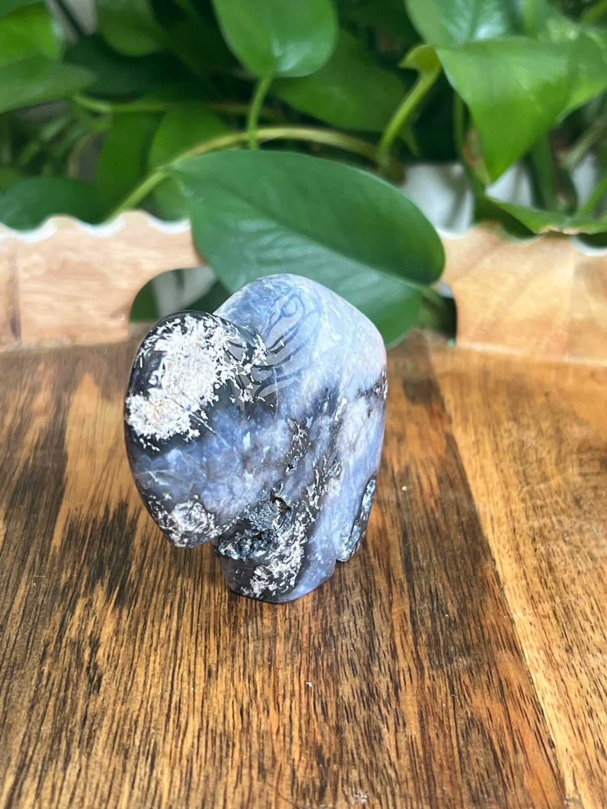 Blue Plume Agate Buffalo: BC