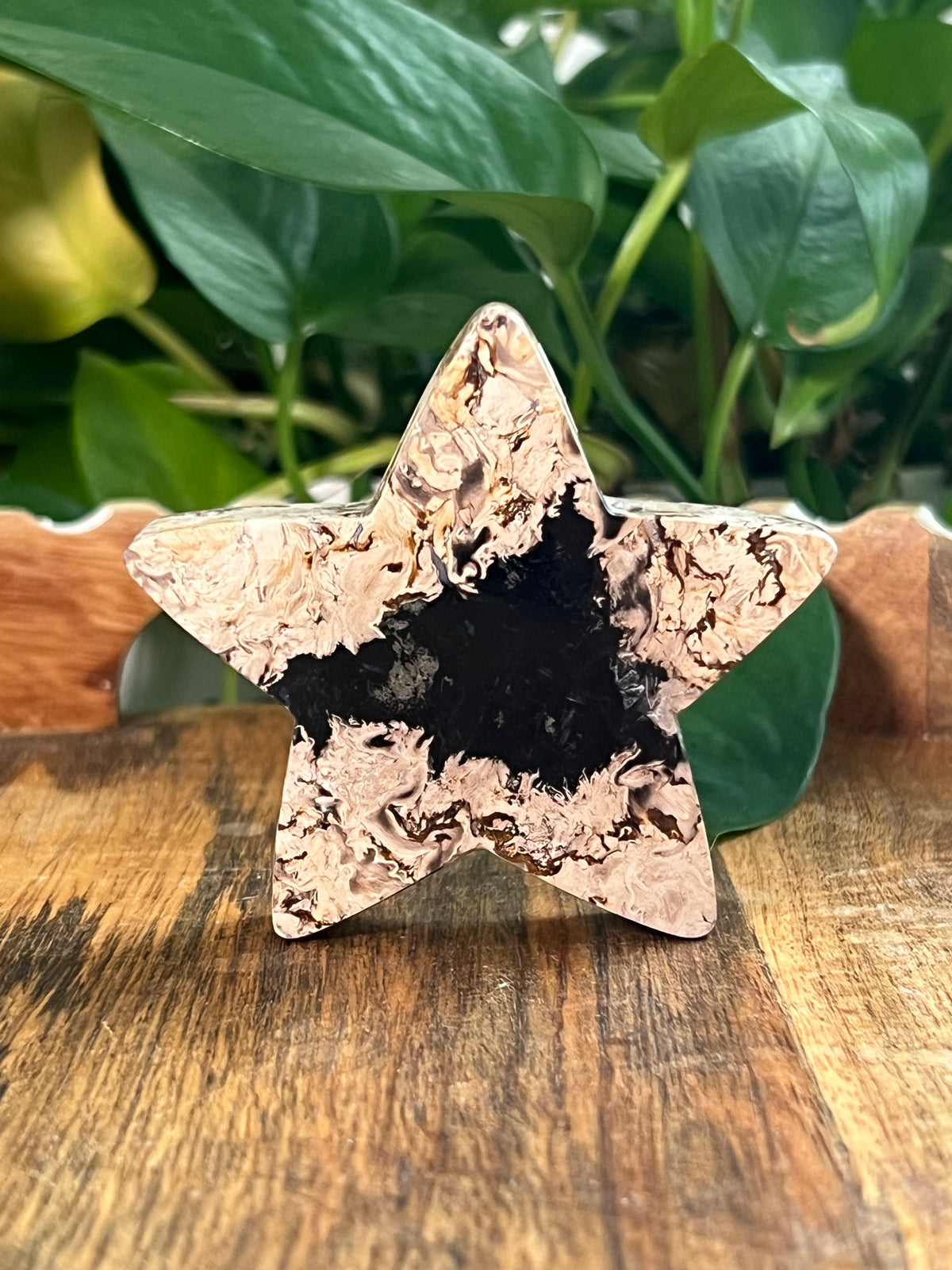 Palm Root Small Self Standing Stars