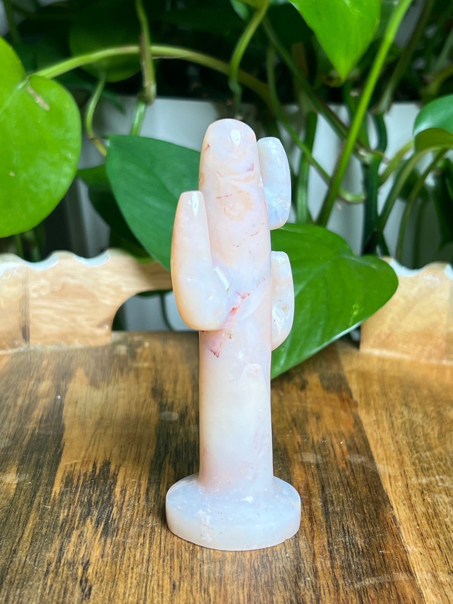Pink Carnelian Cactus: NA