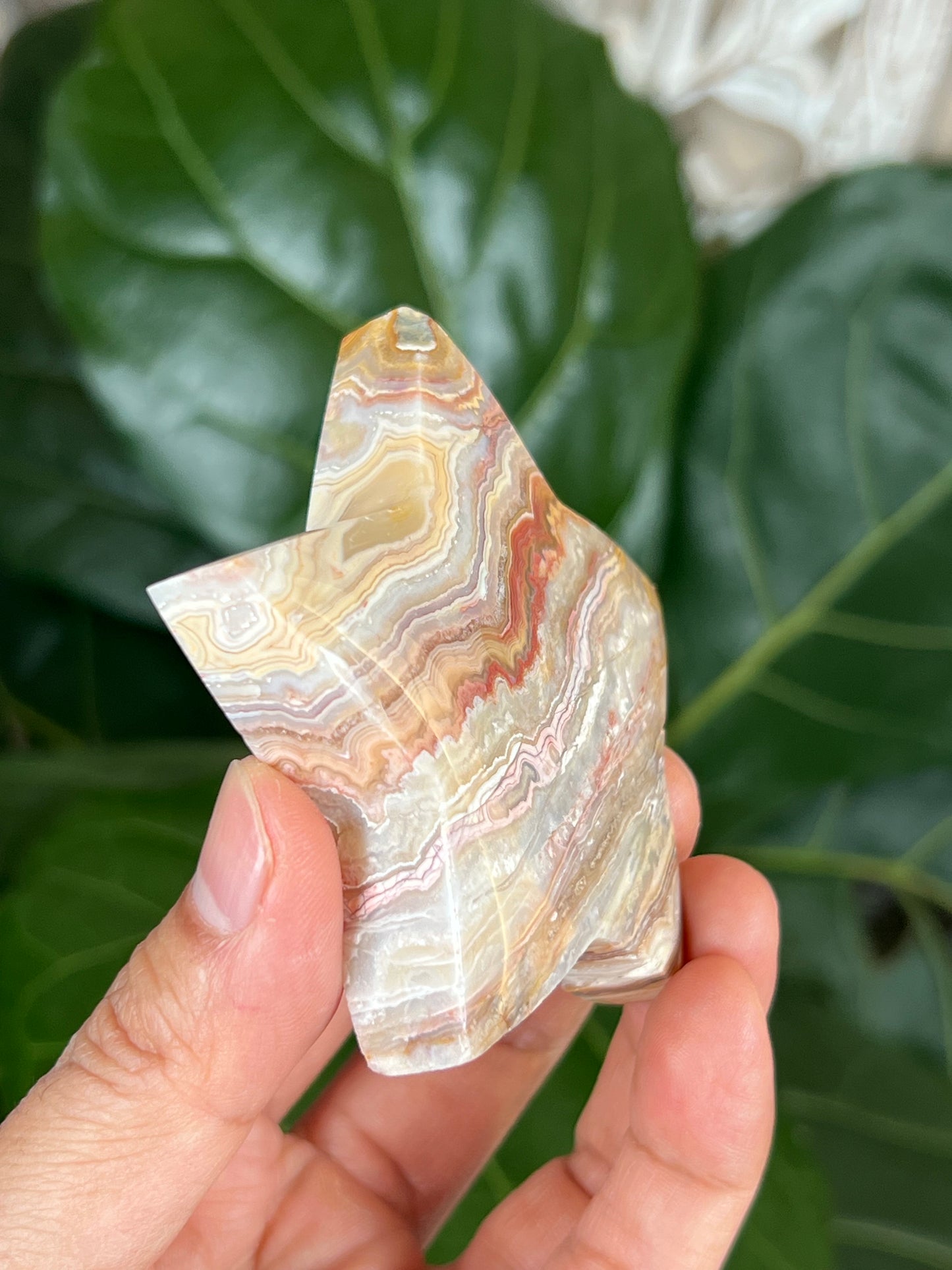 Crazy Lace Agate Star
