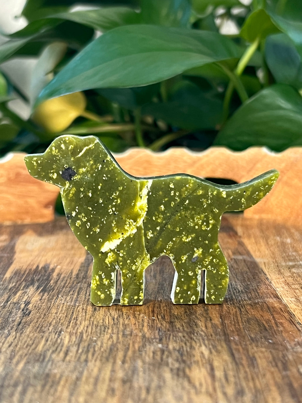 Idocrase Dogs