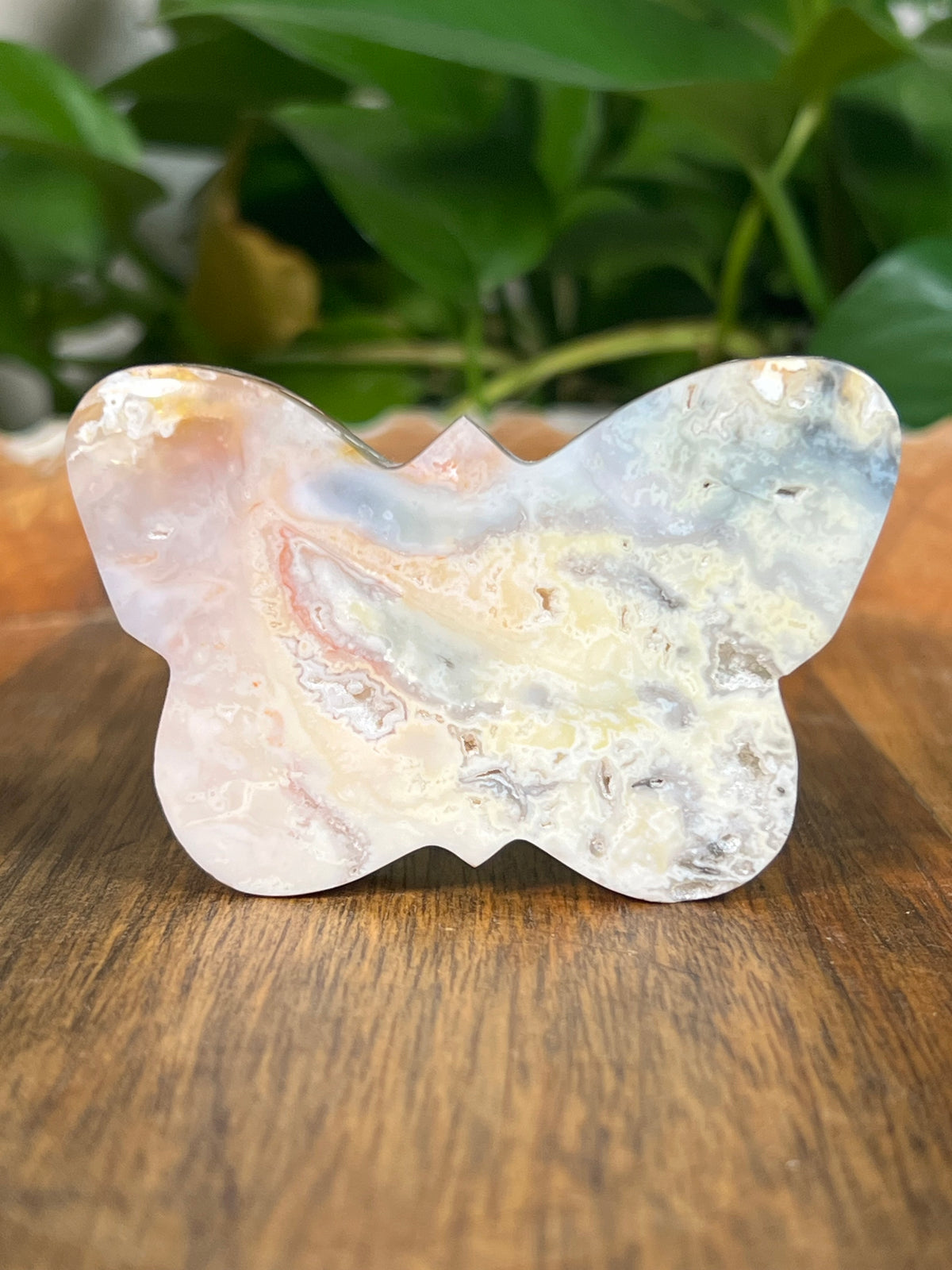 Rainbow Plume Agate Small Self Standing Butterflies