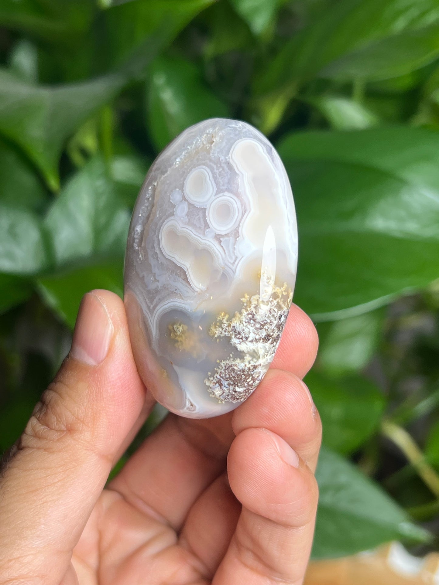 Scenic Moss Agate Palmstone: BX