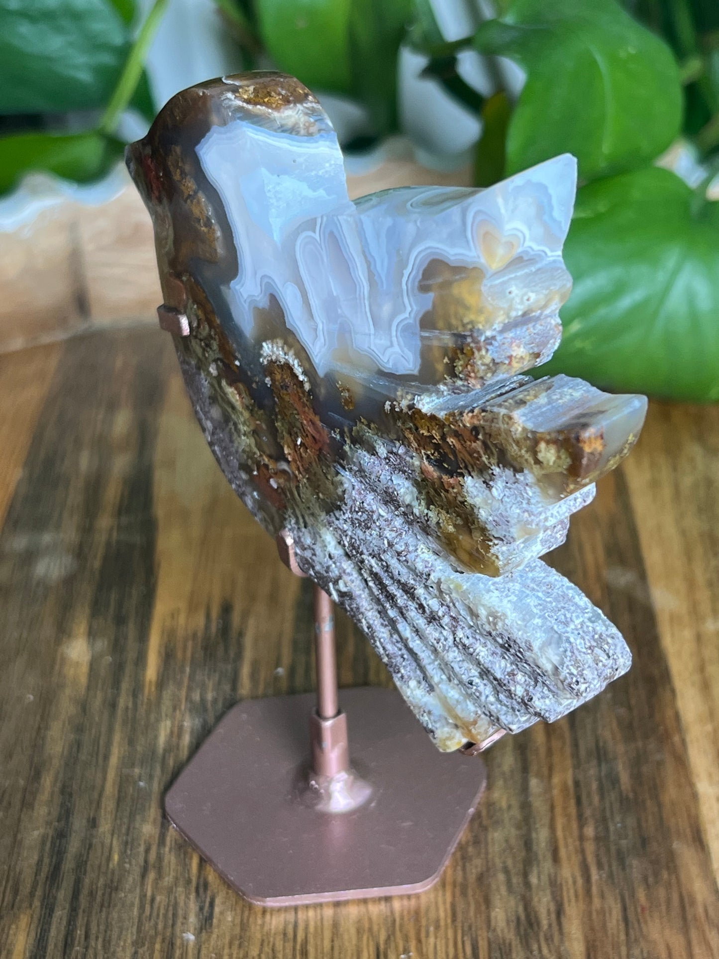Scenic Moss Agate Bird
