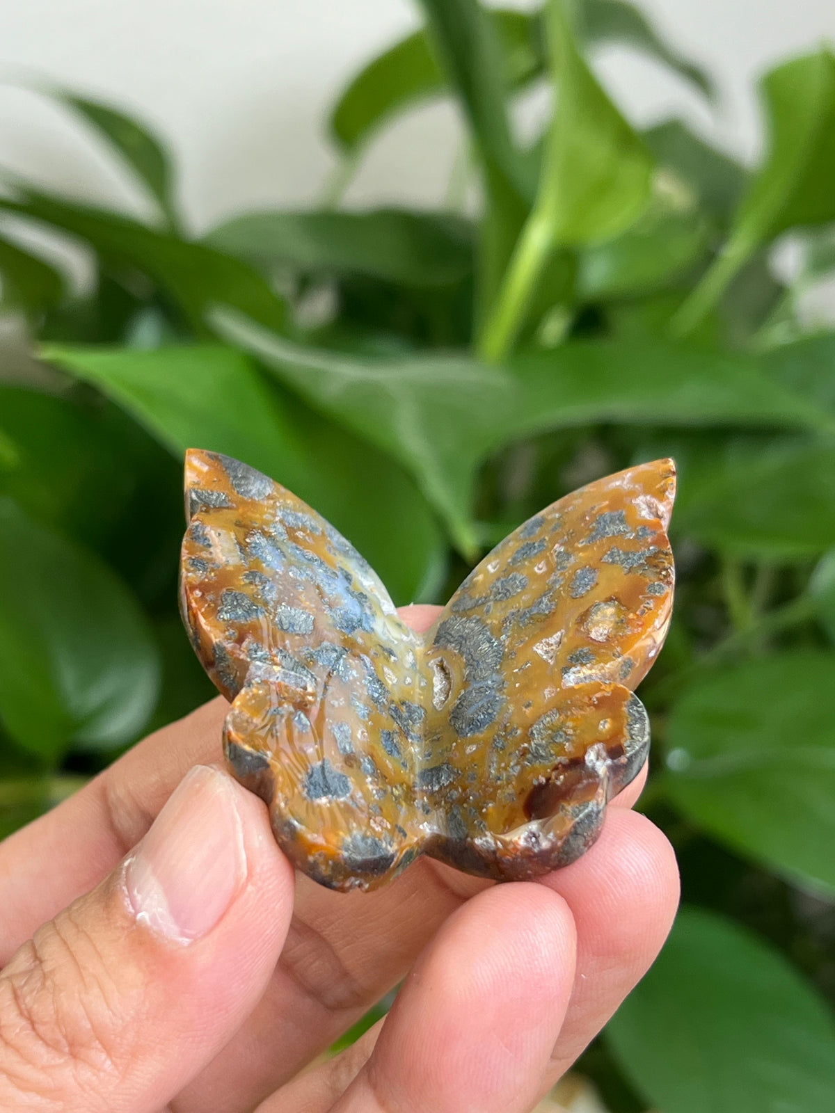 Marcasite 3D Butterfly: MB
