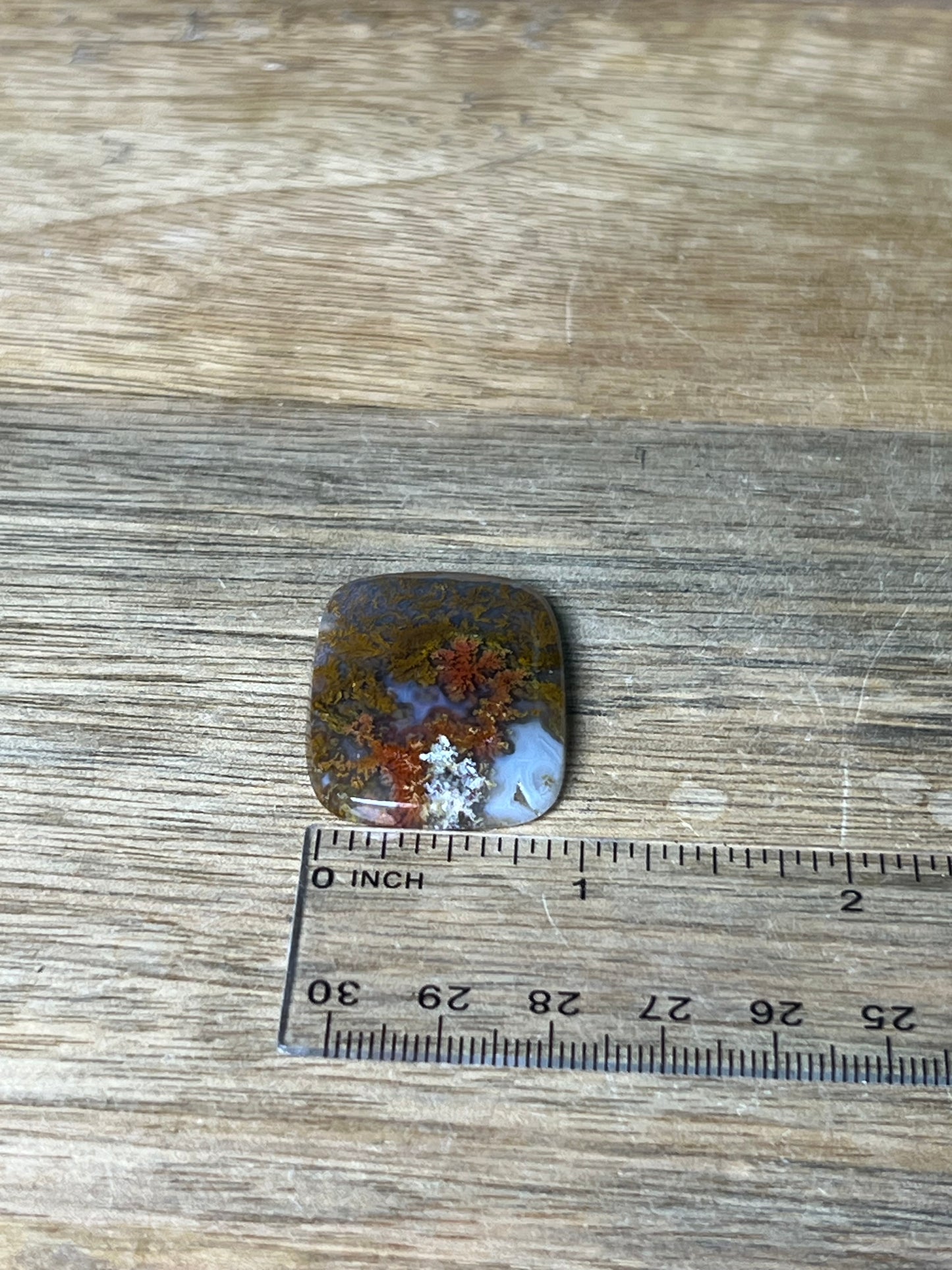 Scenic Moss Agate Cabochon