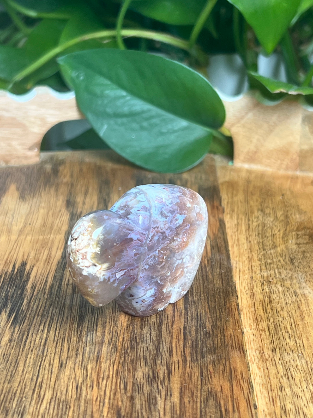 Sumatra Plume Agate Mini Buffalo: DN