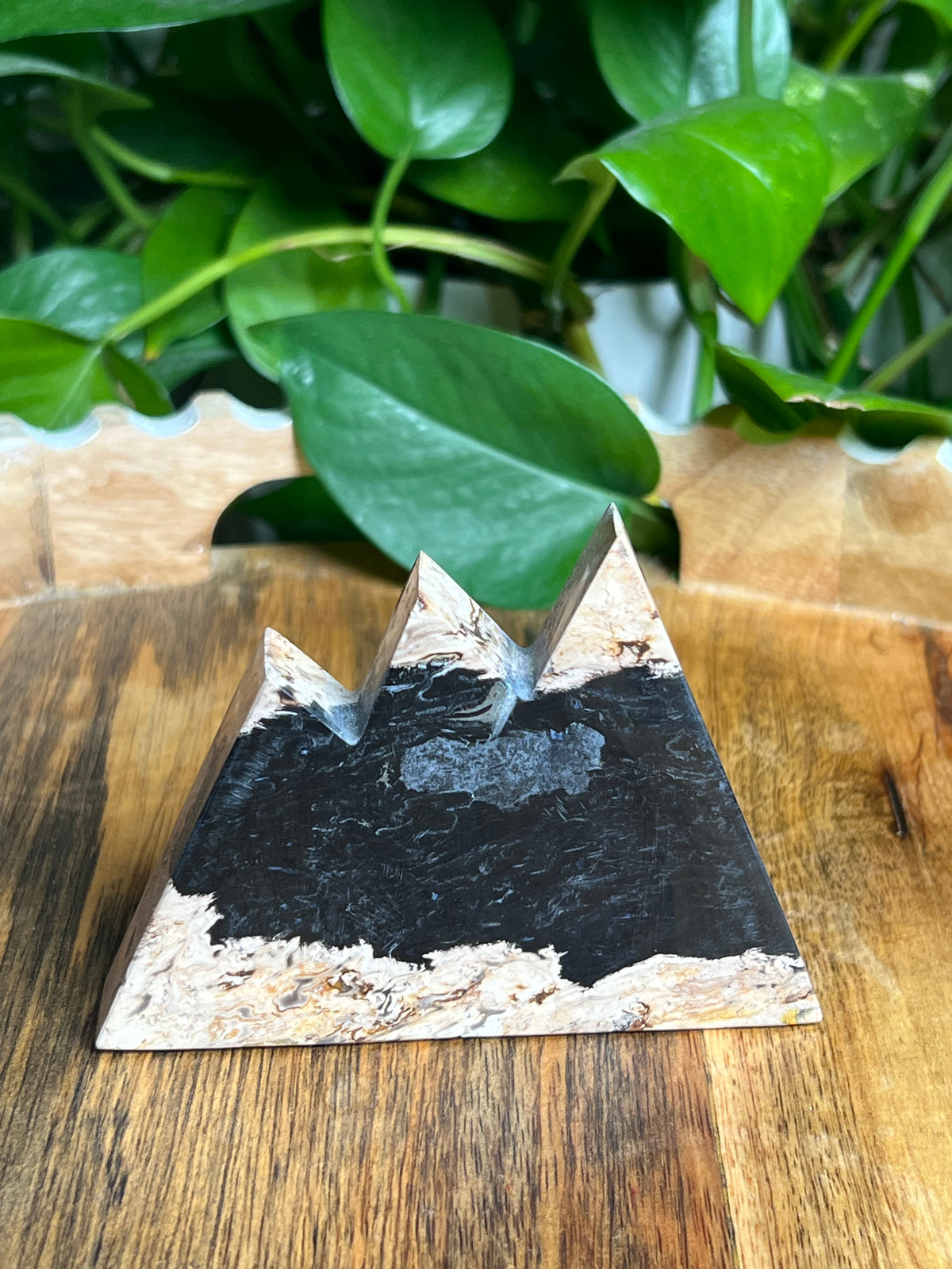 Palm Root Mountain: BF