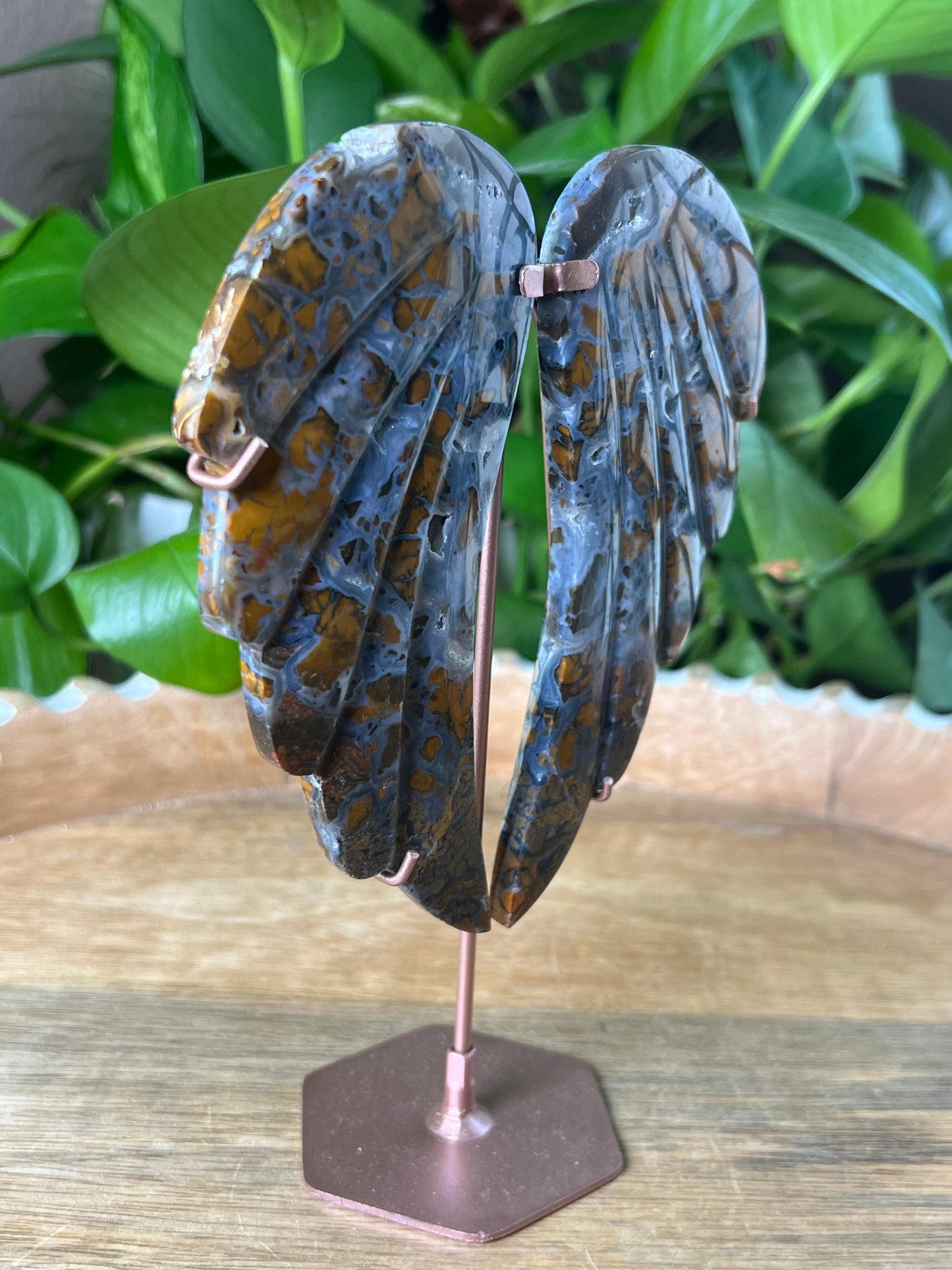 Brecciated Jasper Wings