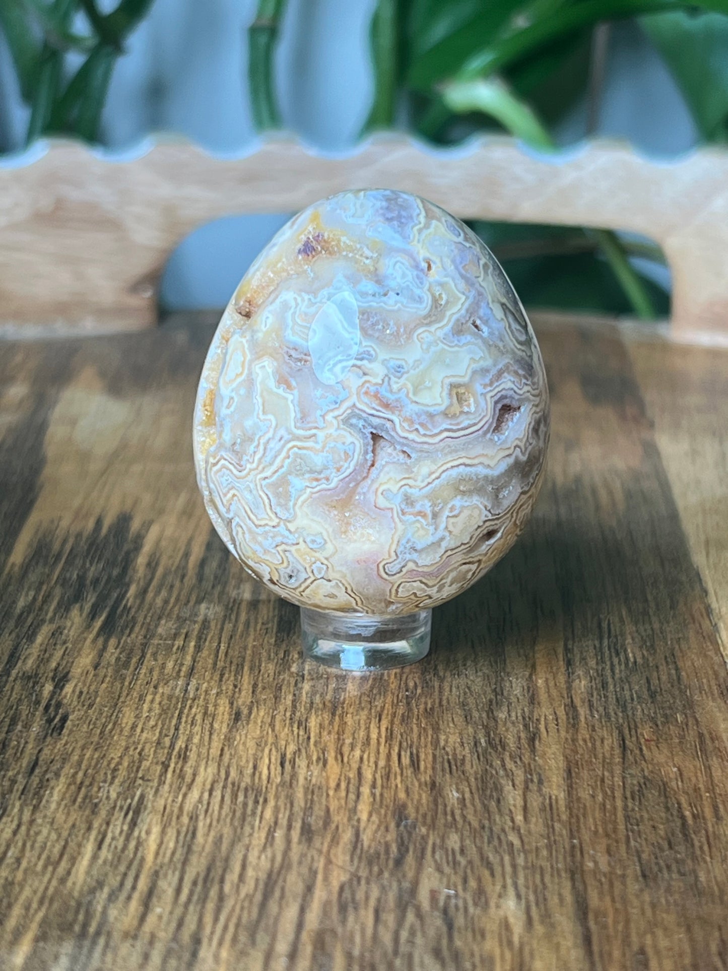 Crazy Lace Agate Egg