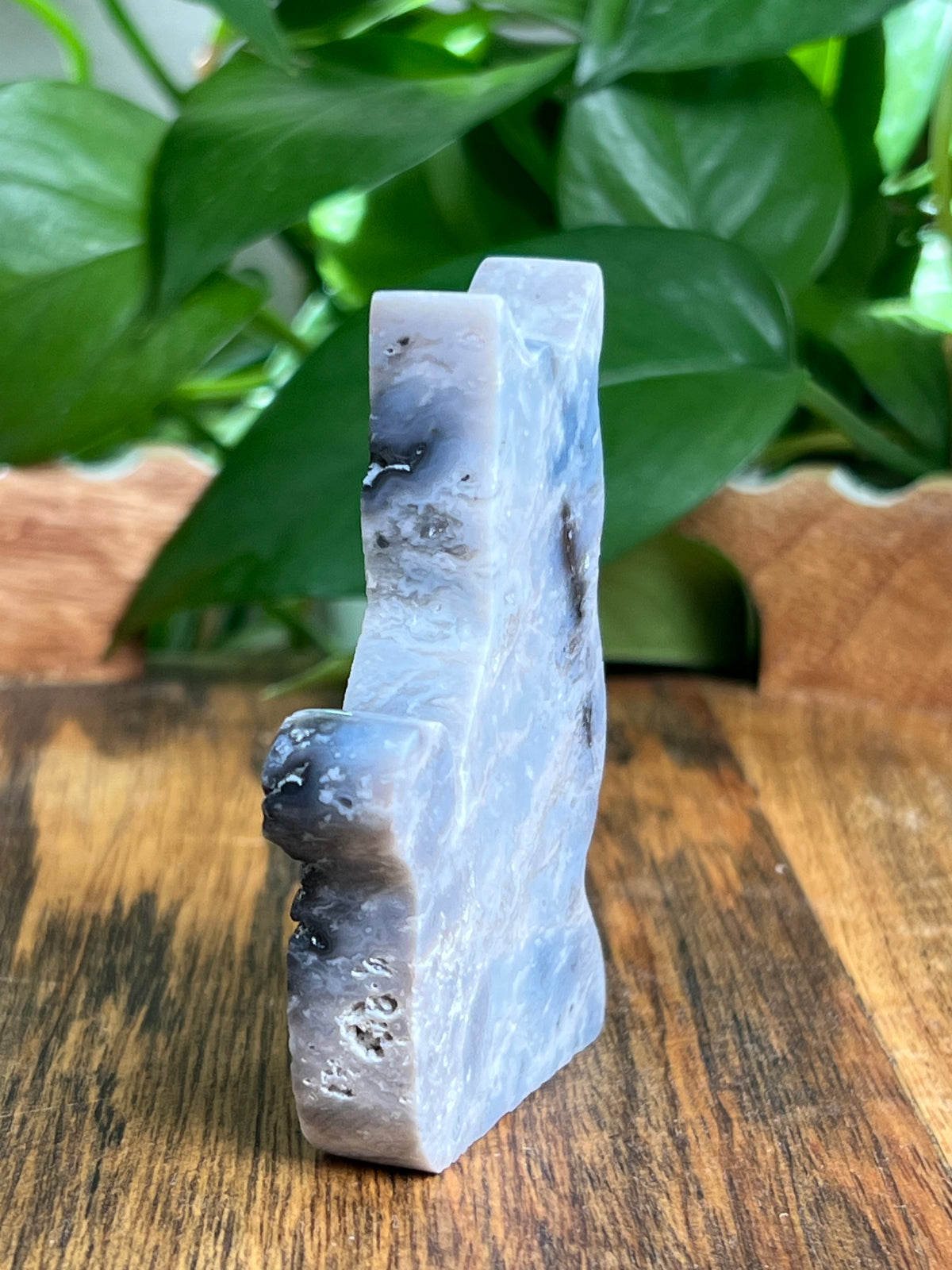 Blue Plume Agate Cat: BE