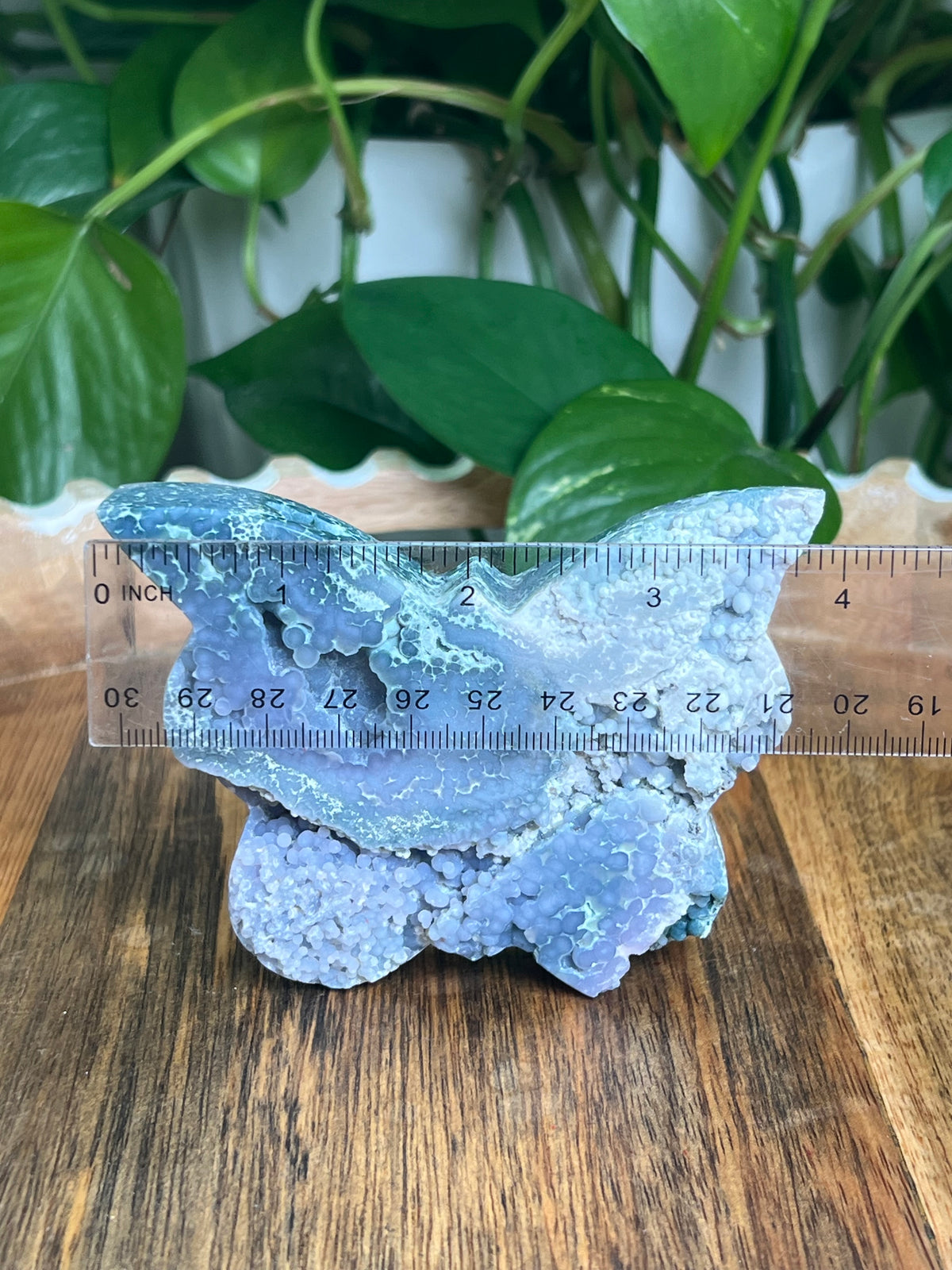 Grape Agate Butterfly: D