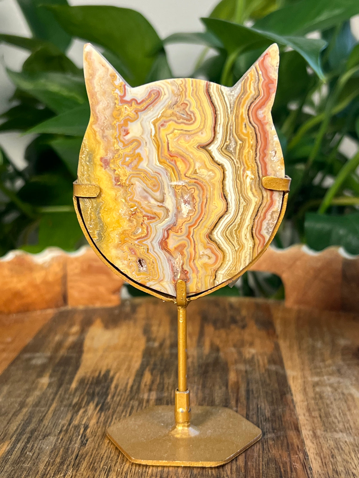 Yellow Crazy Lace Agate Cat Heads