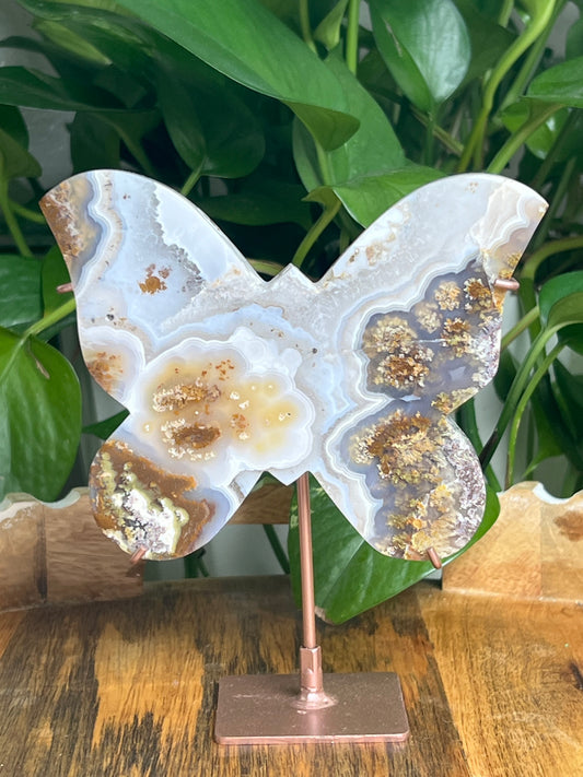 Scenic Moss Agate Butterfly: A