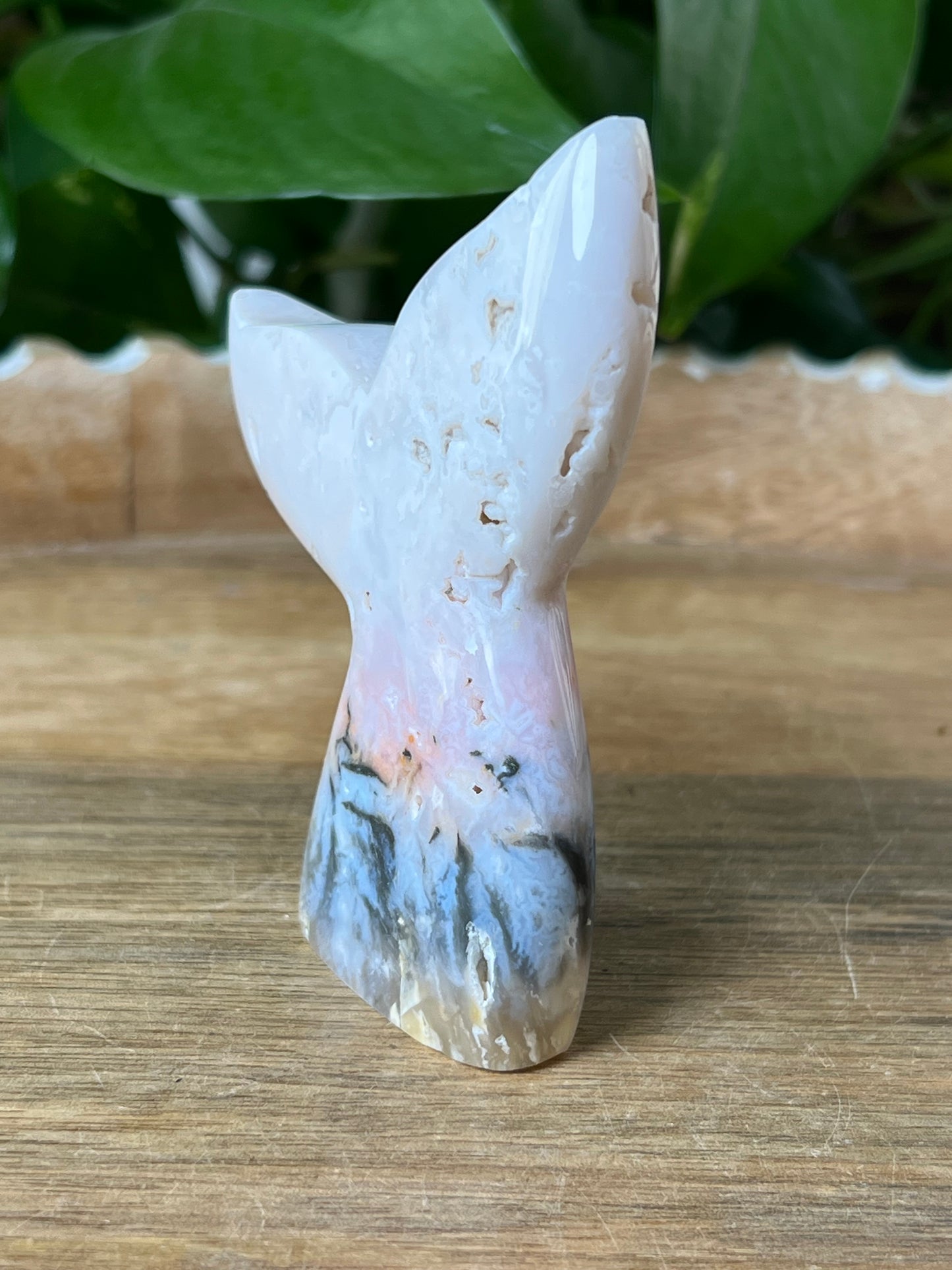 Rainbow Plume Agate Tail