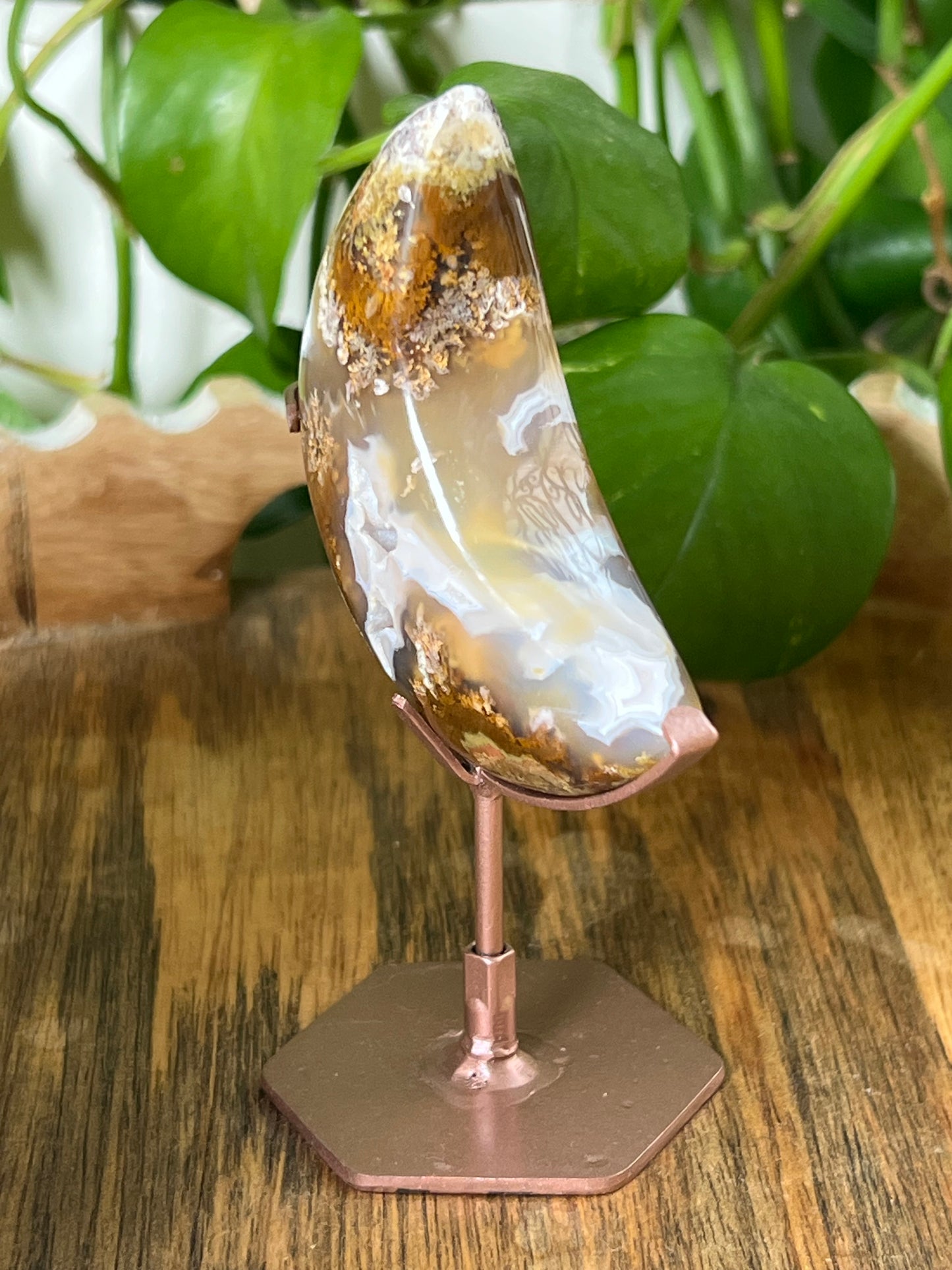 Scenic Moss Agate Moon