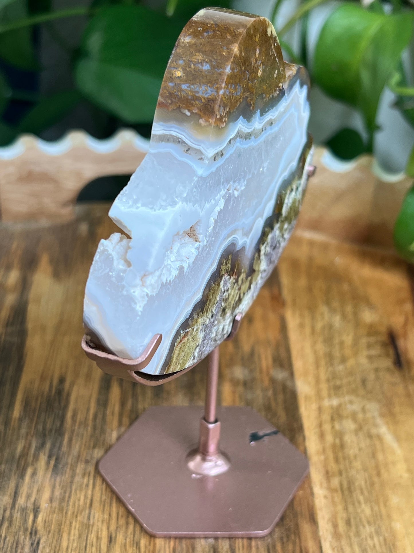 Scenic Moss Agate Cloud