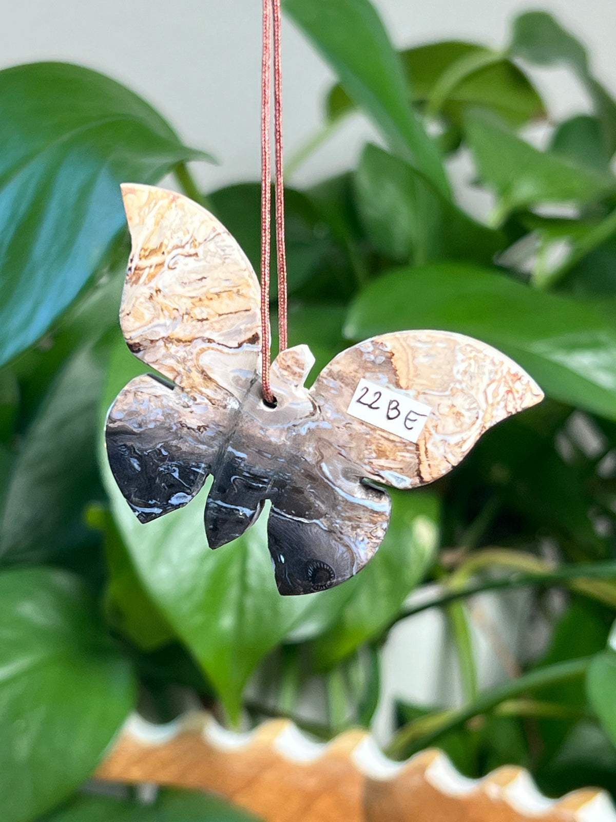 Palm Root Butterfly Ornaments
