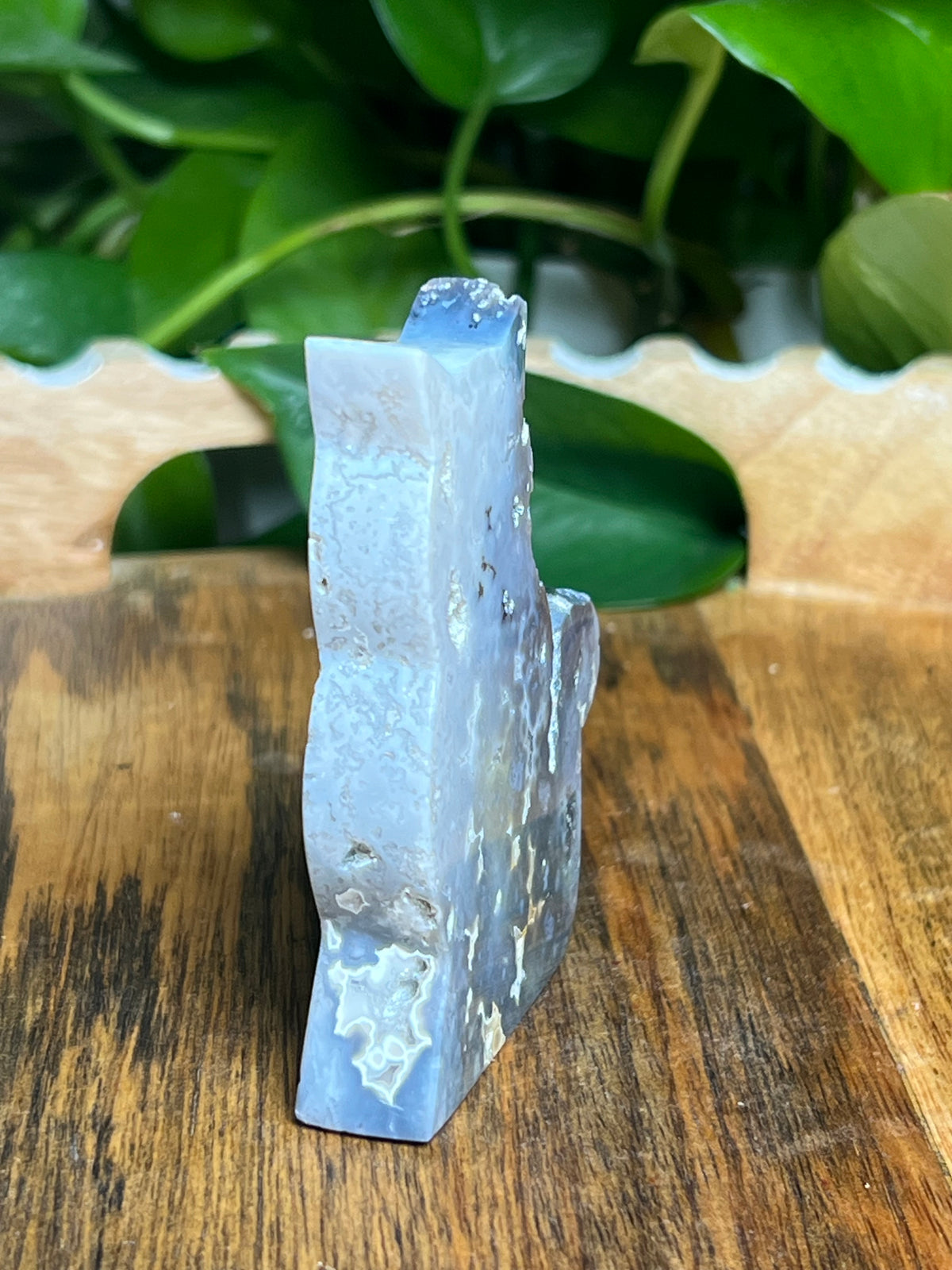 Blue Plume Agate Cat: BD