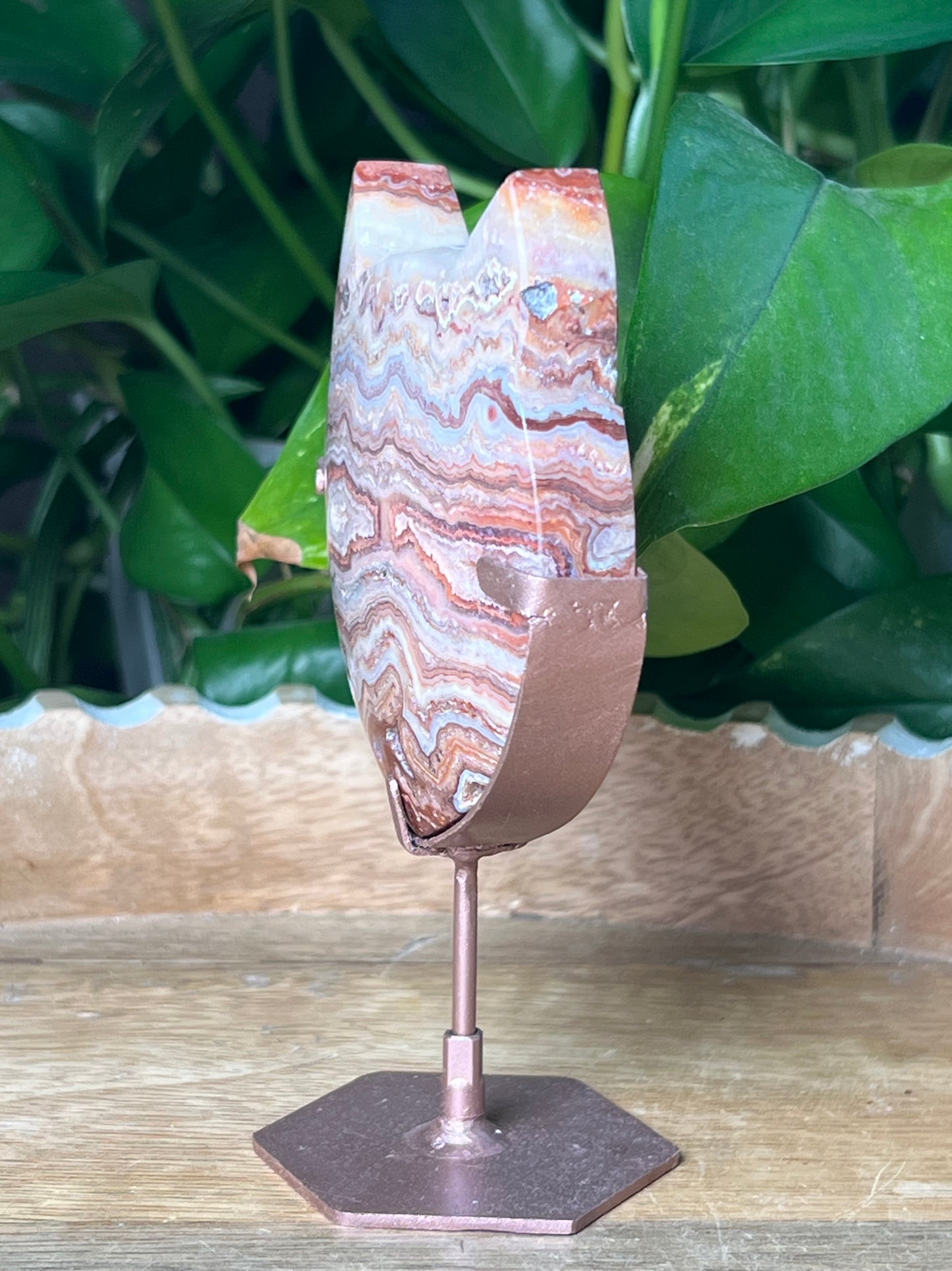 Crazy Lace Agate Cat Head