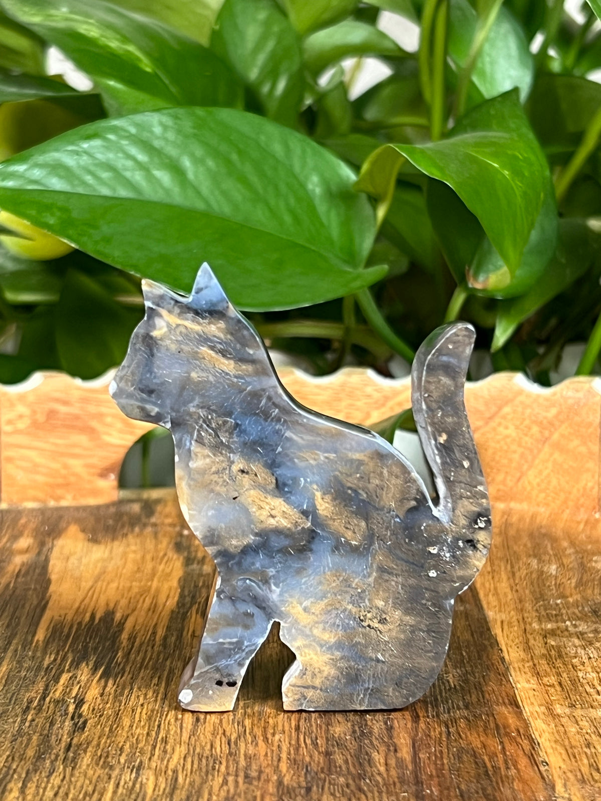 Dendritic Tiger Agate Cats
