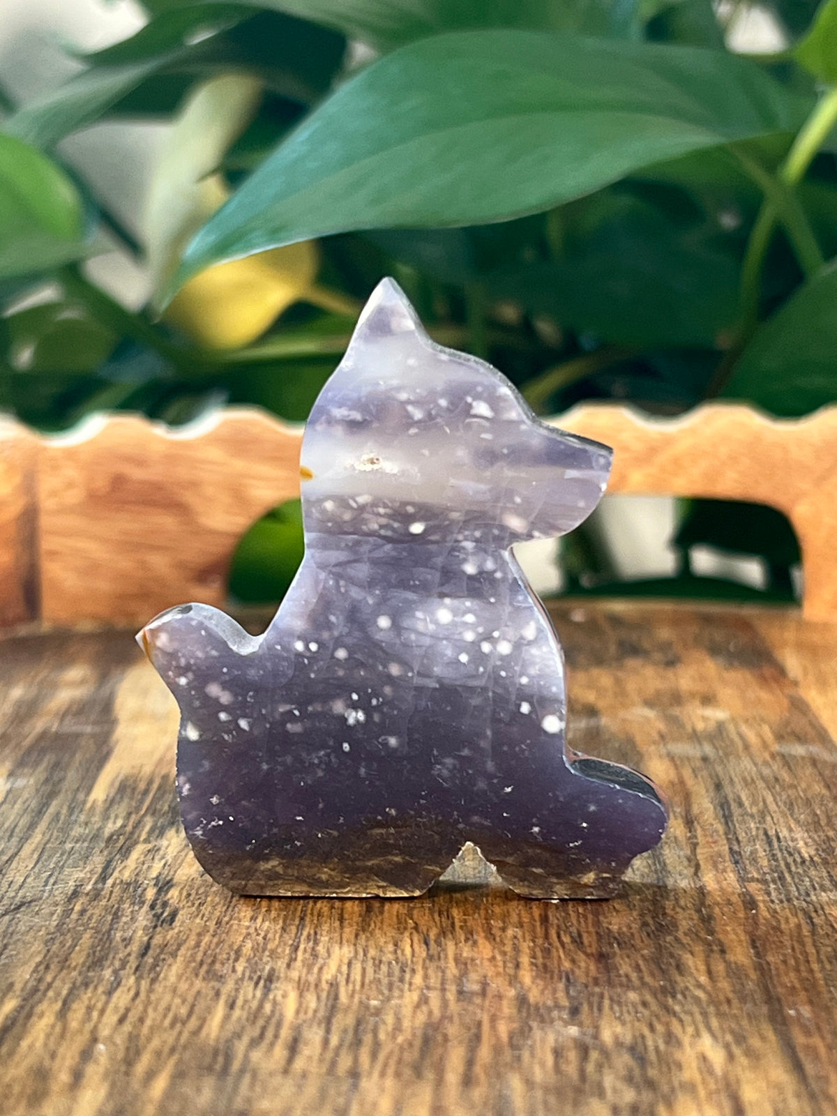 Purple Chalcedony Dogs