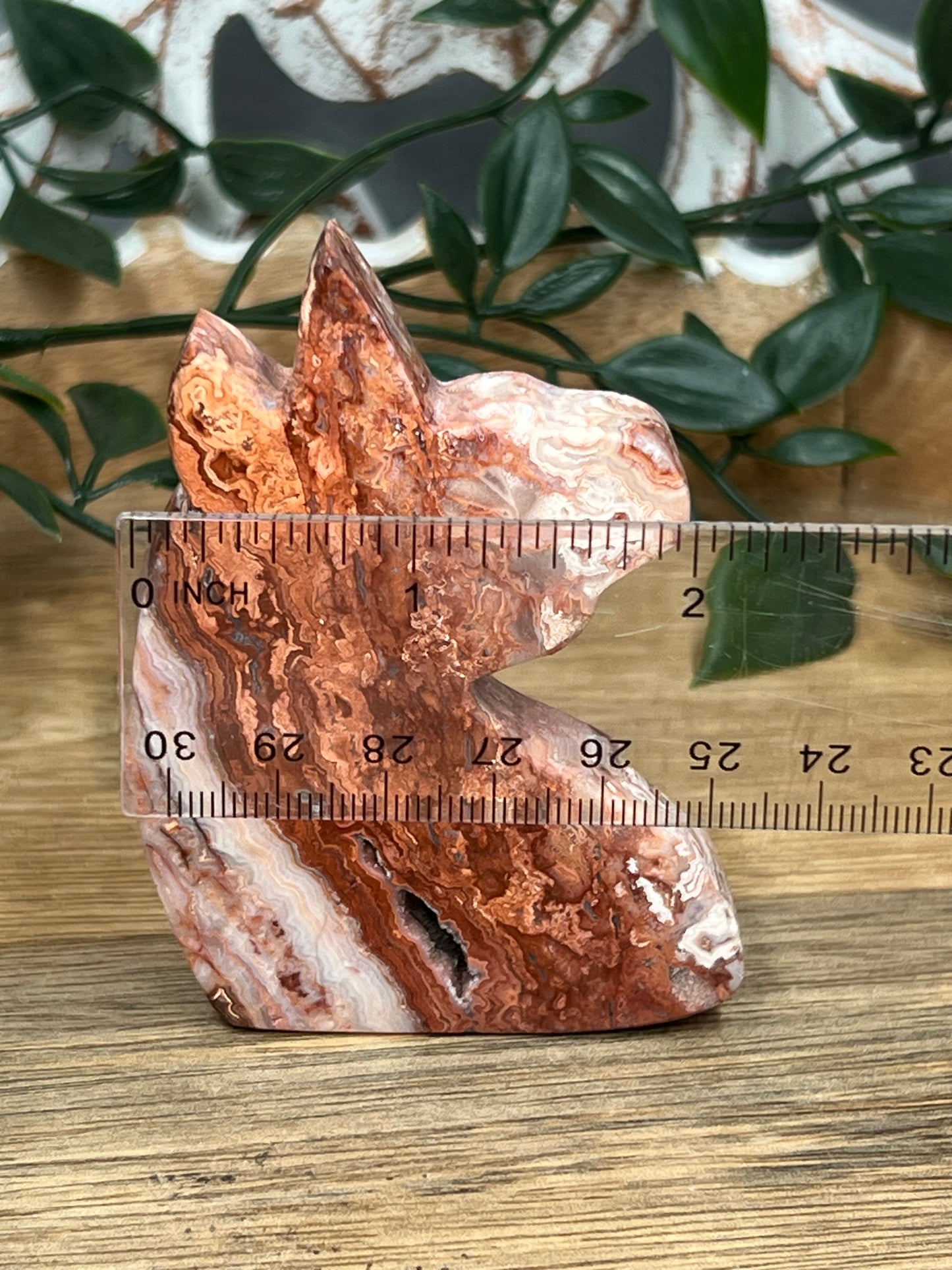 Crazy Lace Agate Unicorn