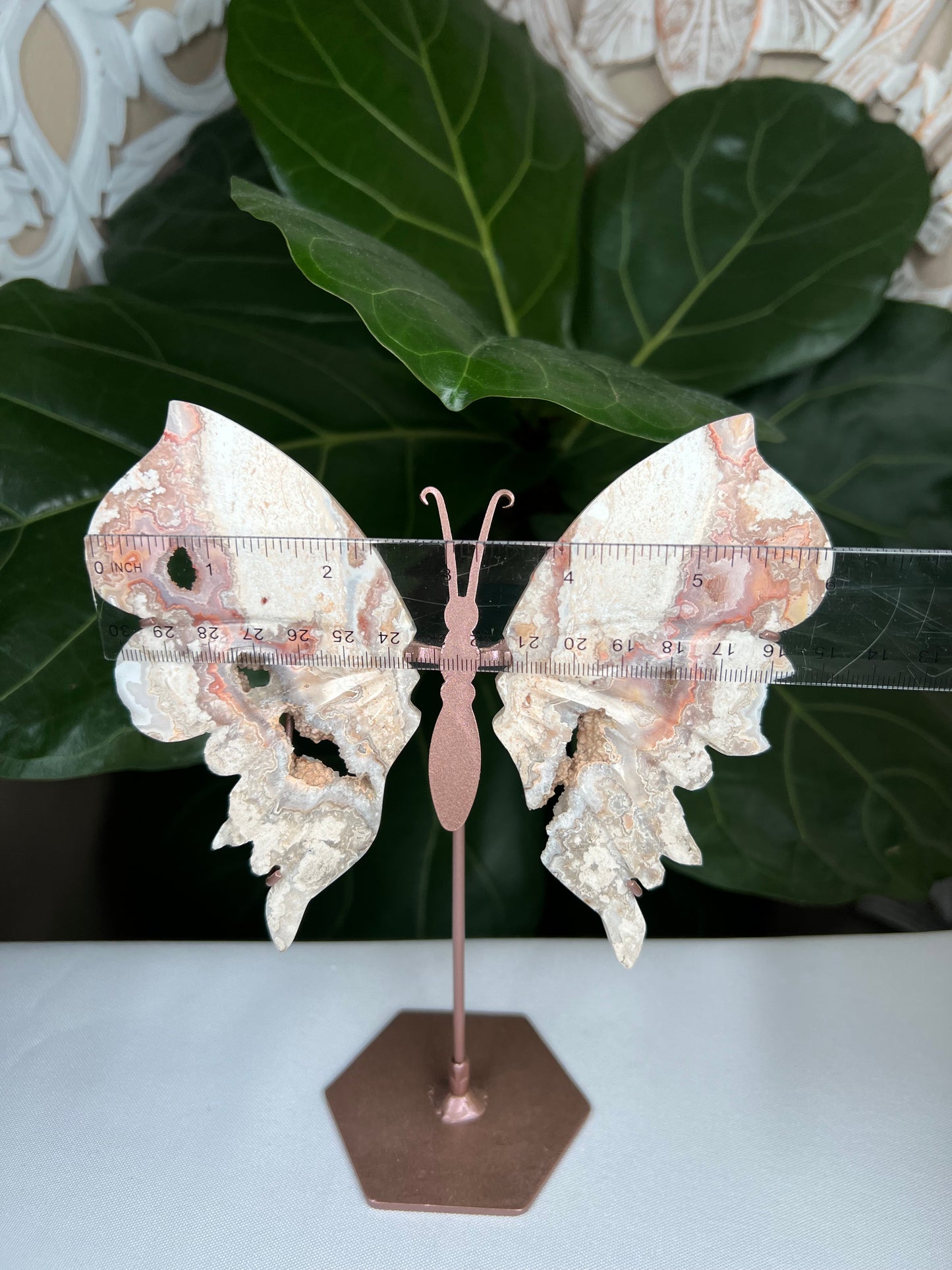 Crazy Lace Agate Wings