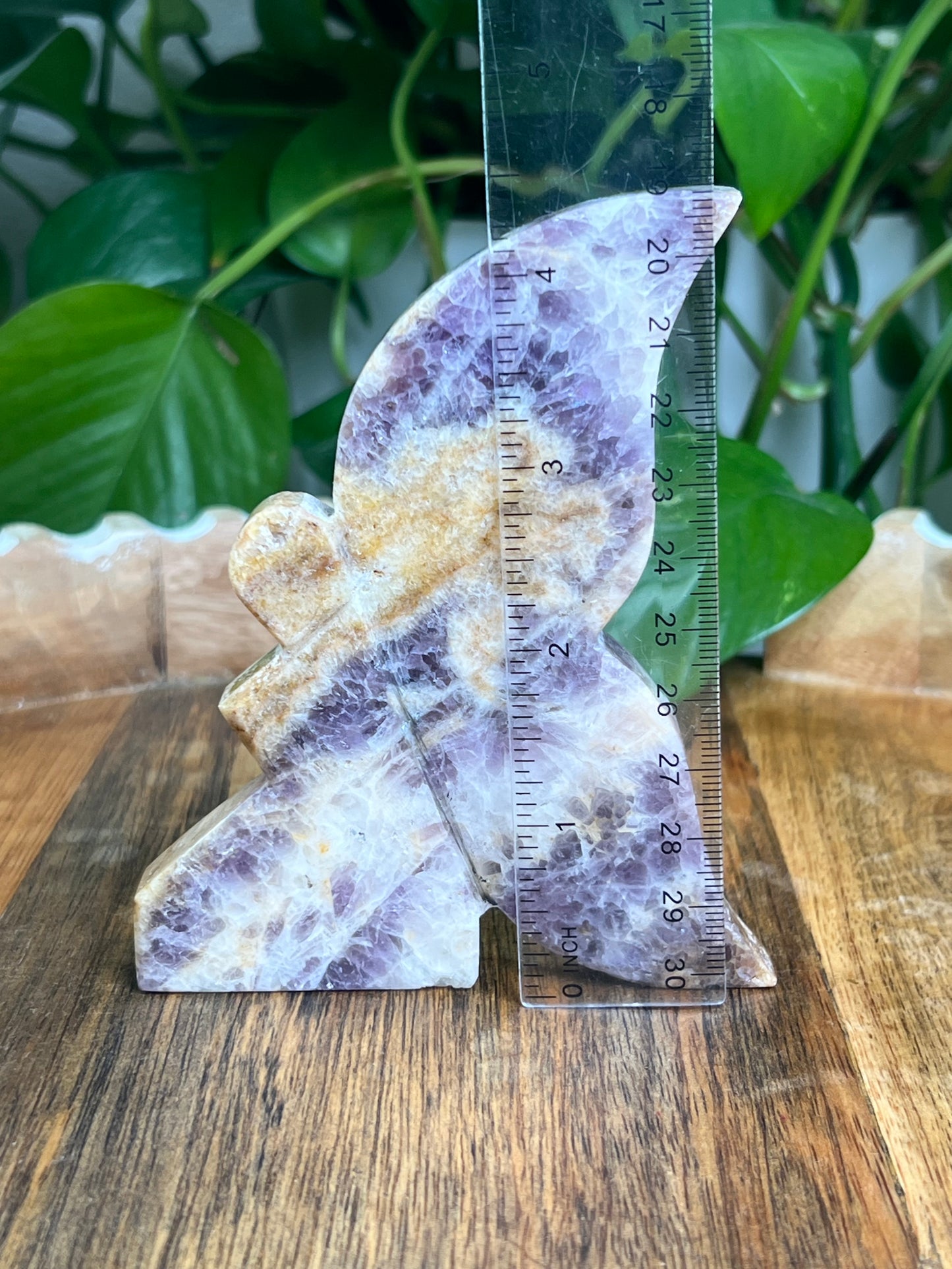 Indonesian Amethyst Fairy: LA