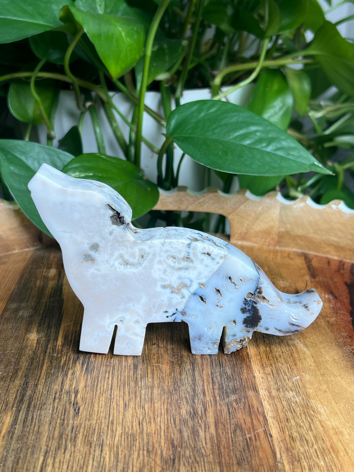 Dendritic Tiger Agate Wolf: K