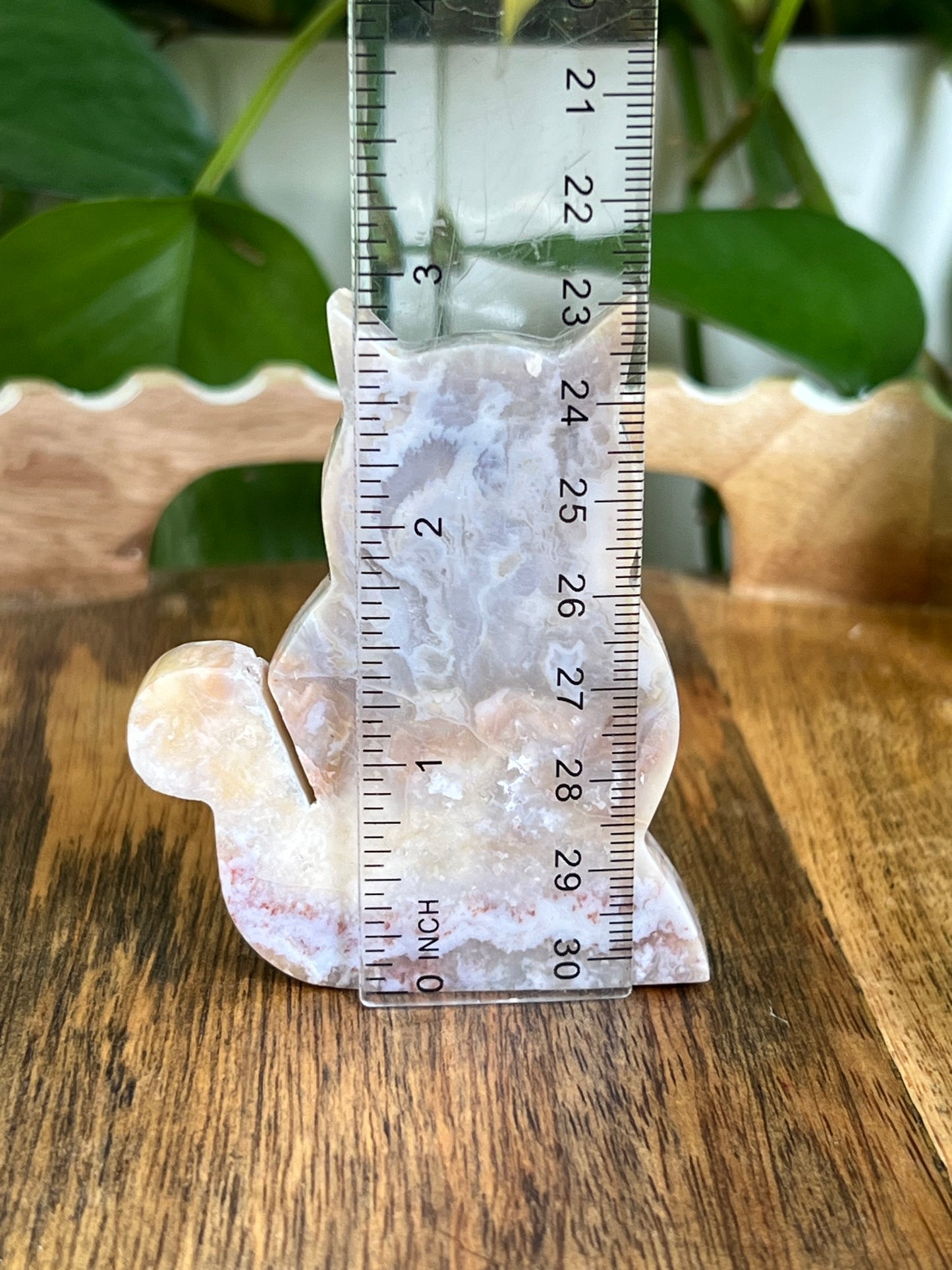 Sumatra Agate Cat EC