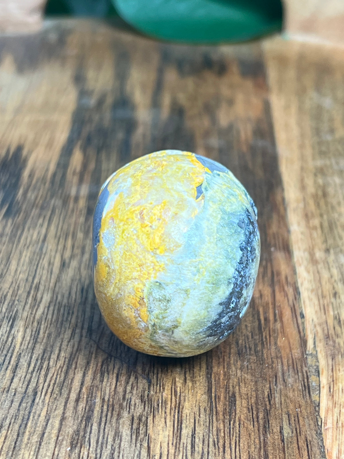 Bumblebee Jasper Mini Skull: C