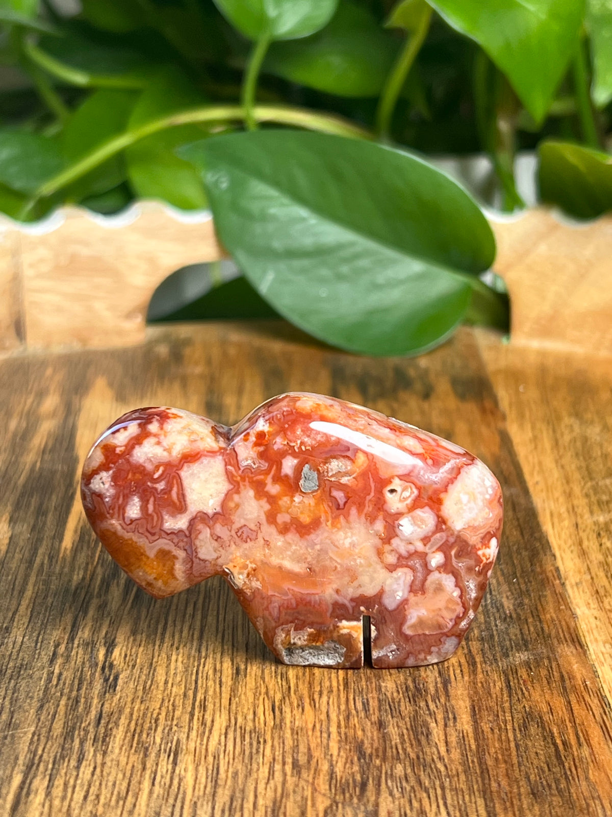 Carnelian Mini Buffalo: BD