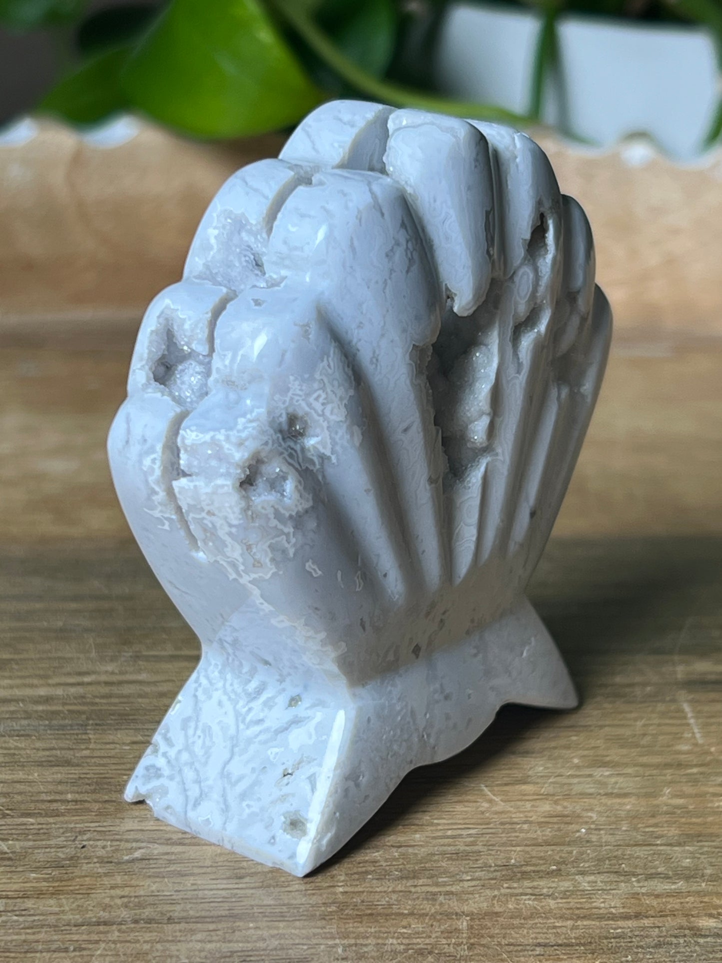 White Plume Agate Shell