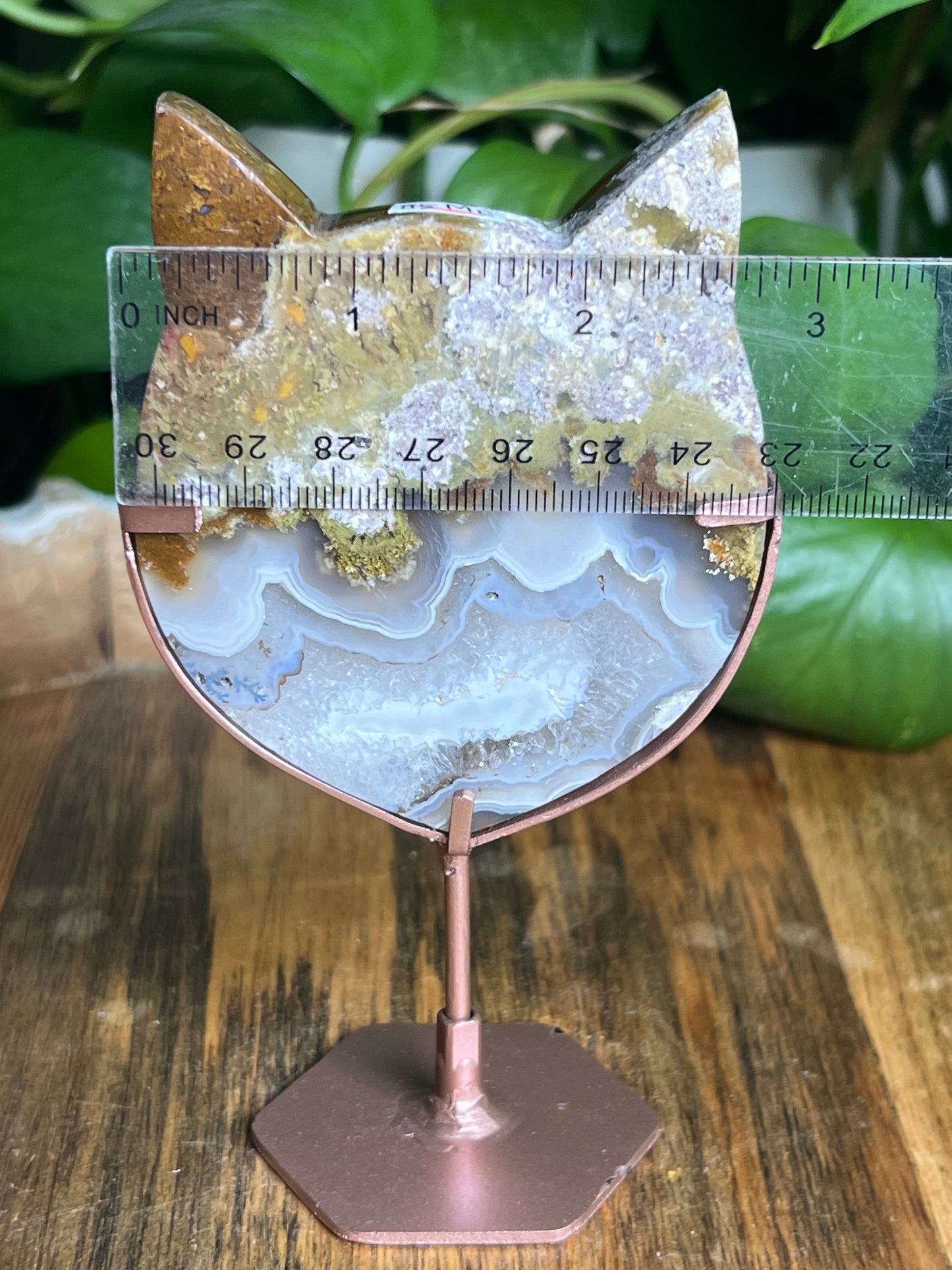 Scenic Moss Agate Cat Head