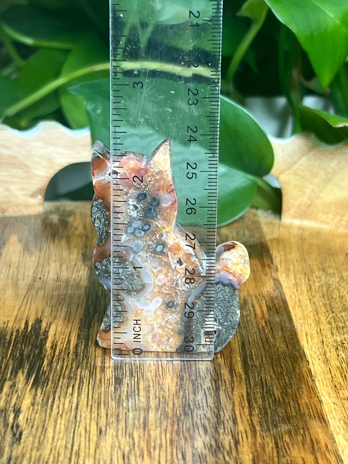 Marcasite Cat: XF