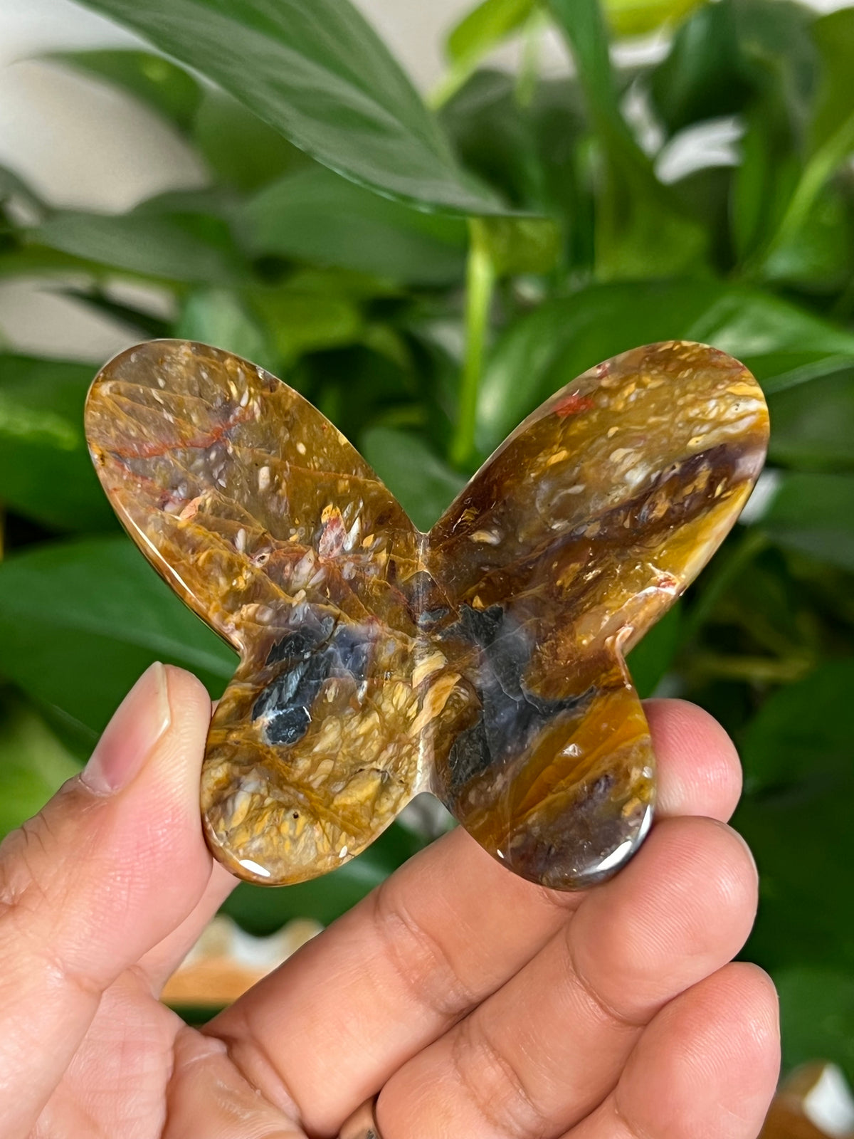 River Jasper 3D Butterflies