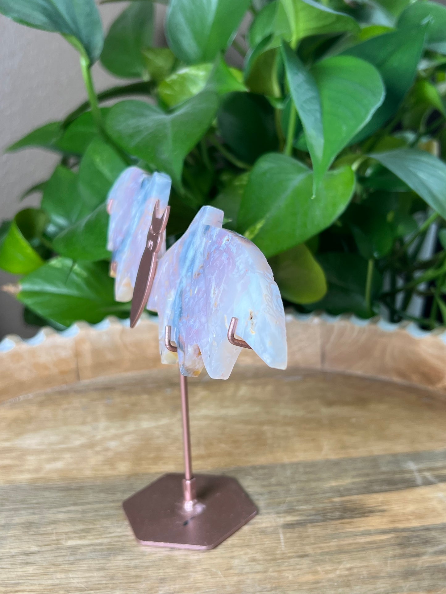 Rainbow Plume Agate Bat