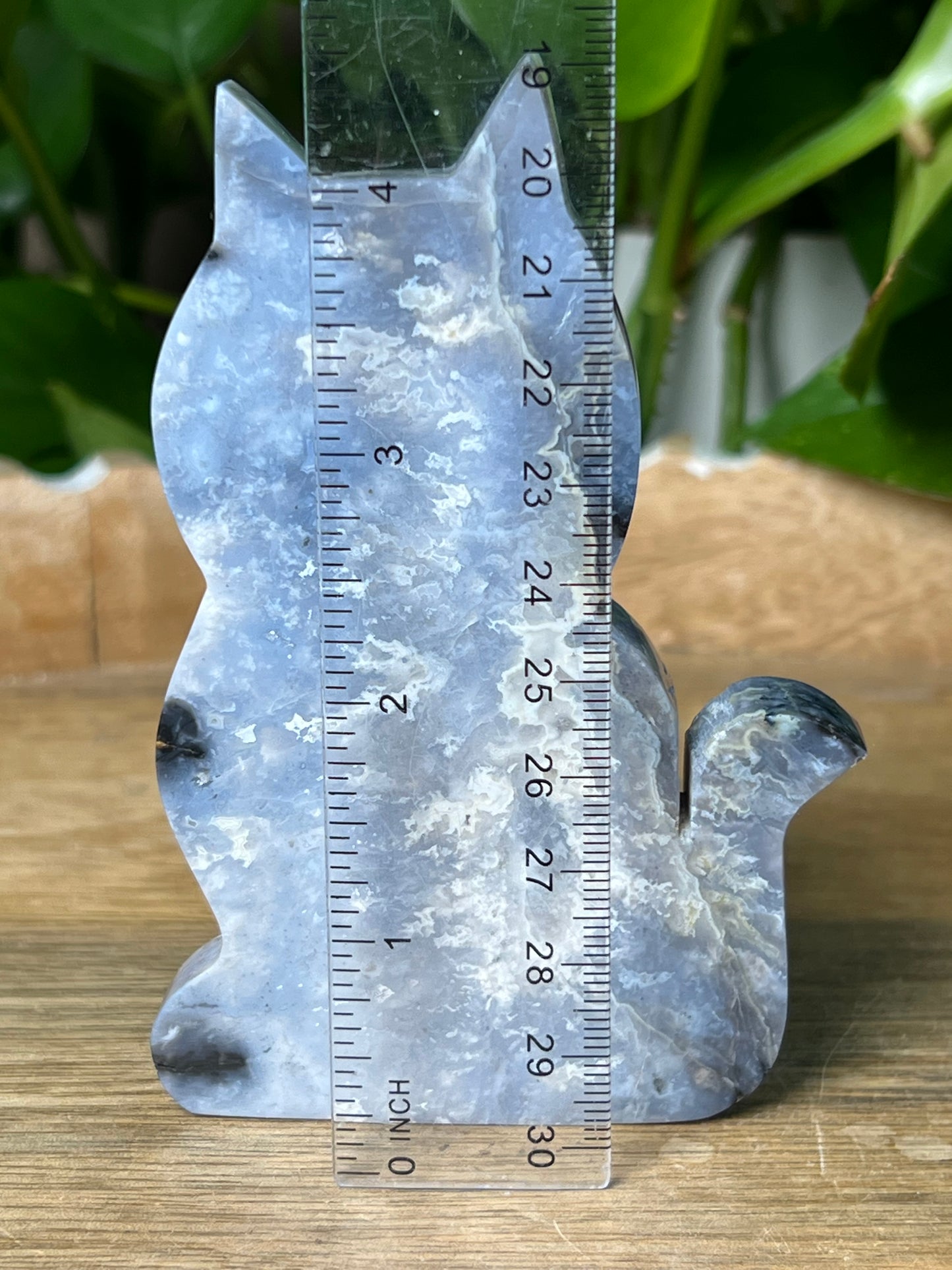 Blue Plume Agate Cat