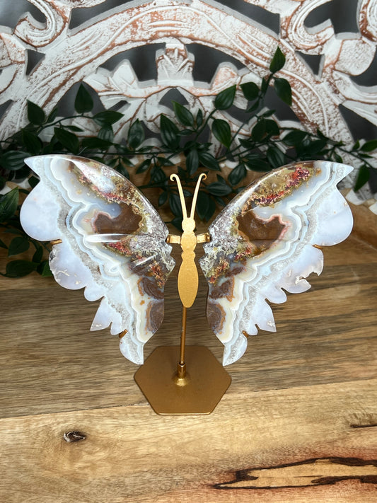 Scenic Moss Agate Wings