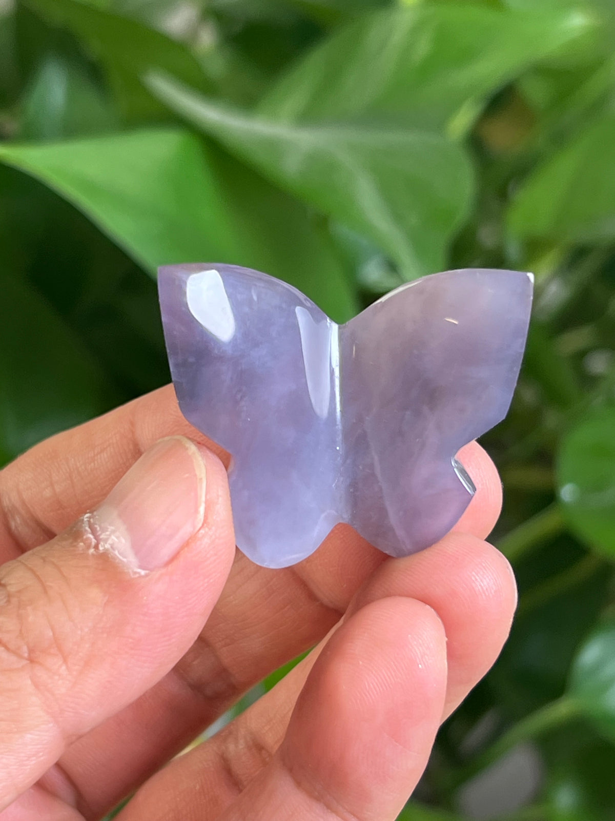 Purple Chalcedony 3D Mini Butterfly: BL