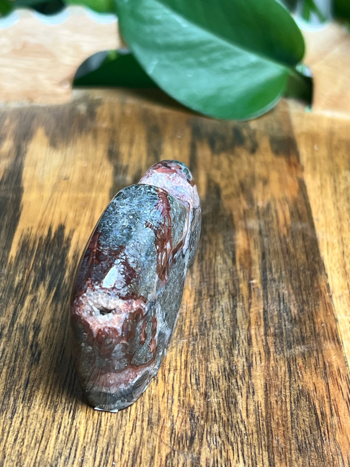 Marcasite Mini Buffalo: MN