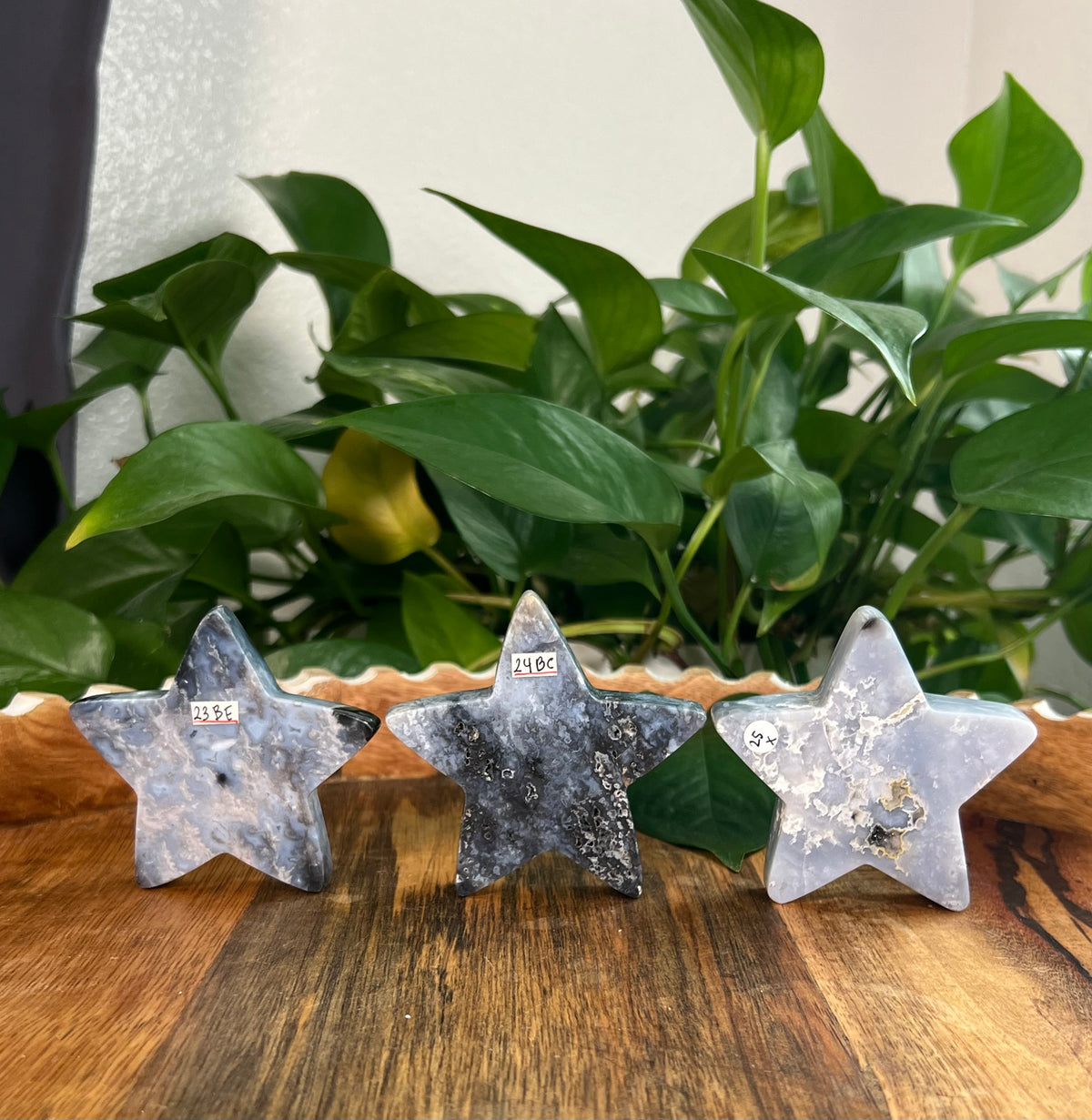 Blue Plume Agate Stars