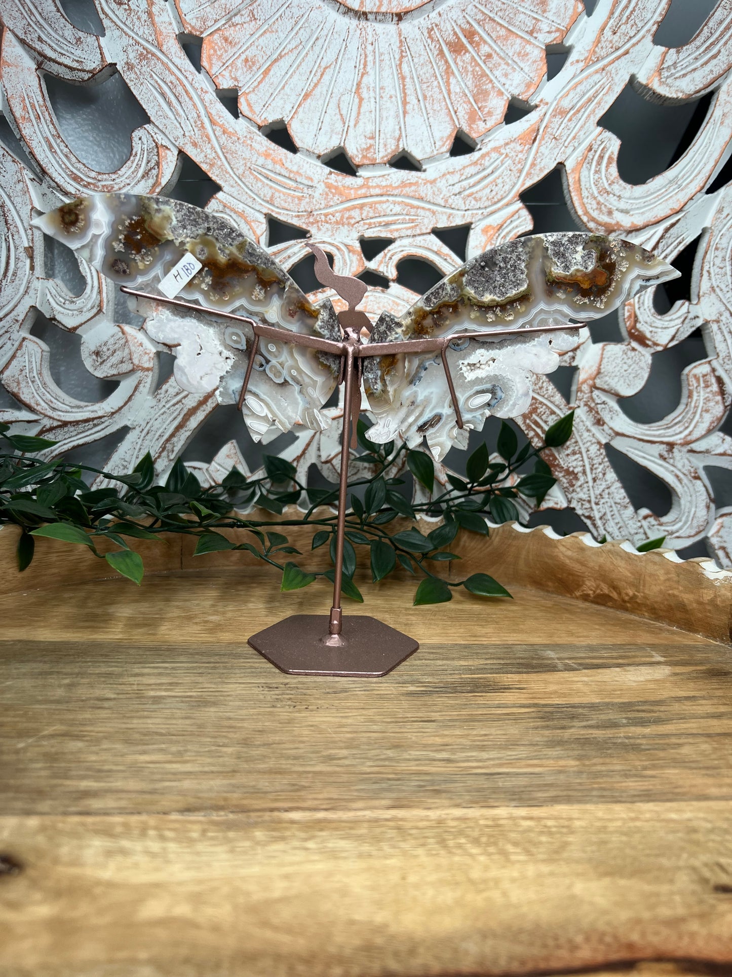 Scenic Moss Agate Wings