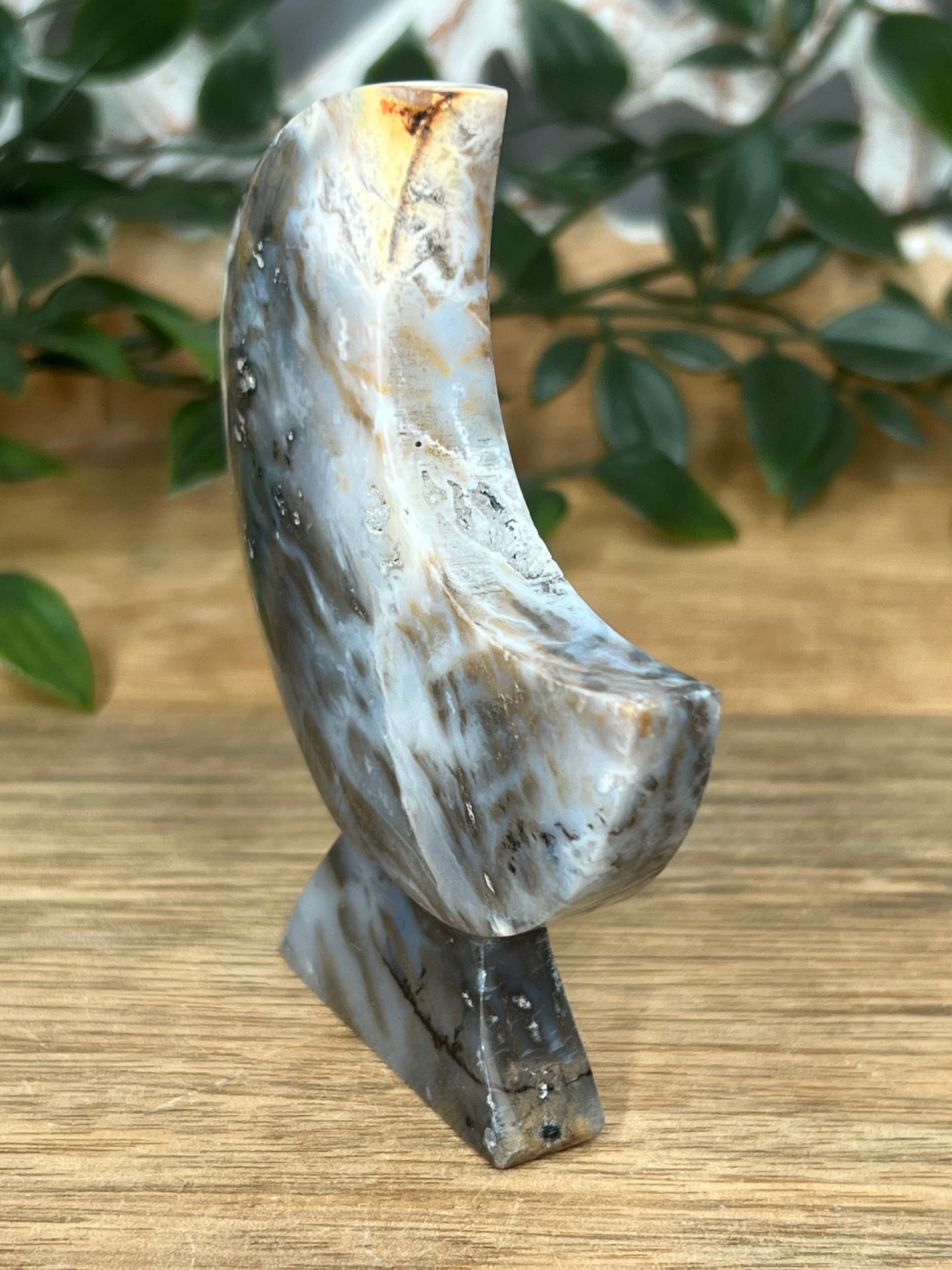 Dendritic Tiger Agate Moon