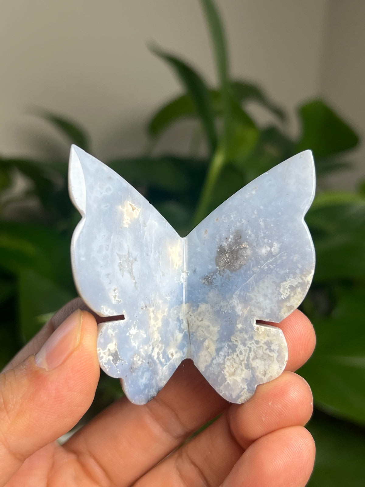 Blue Plume Agate 3D Butterfly: Ki
