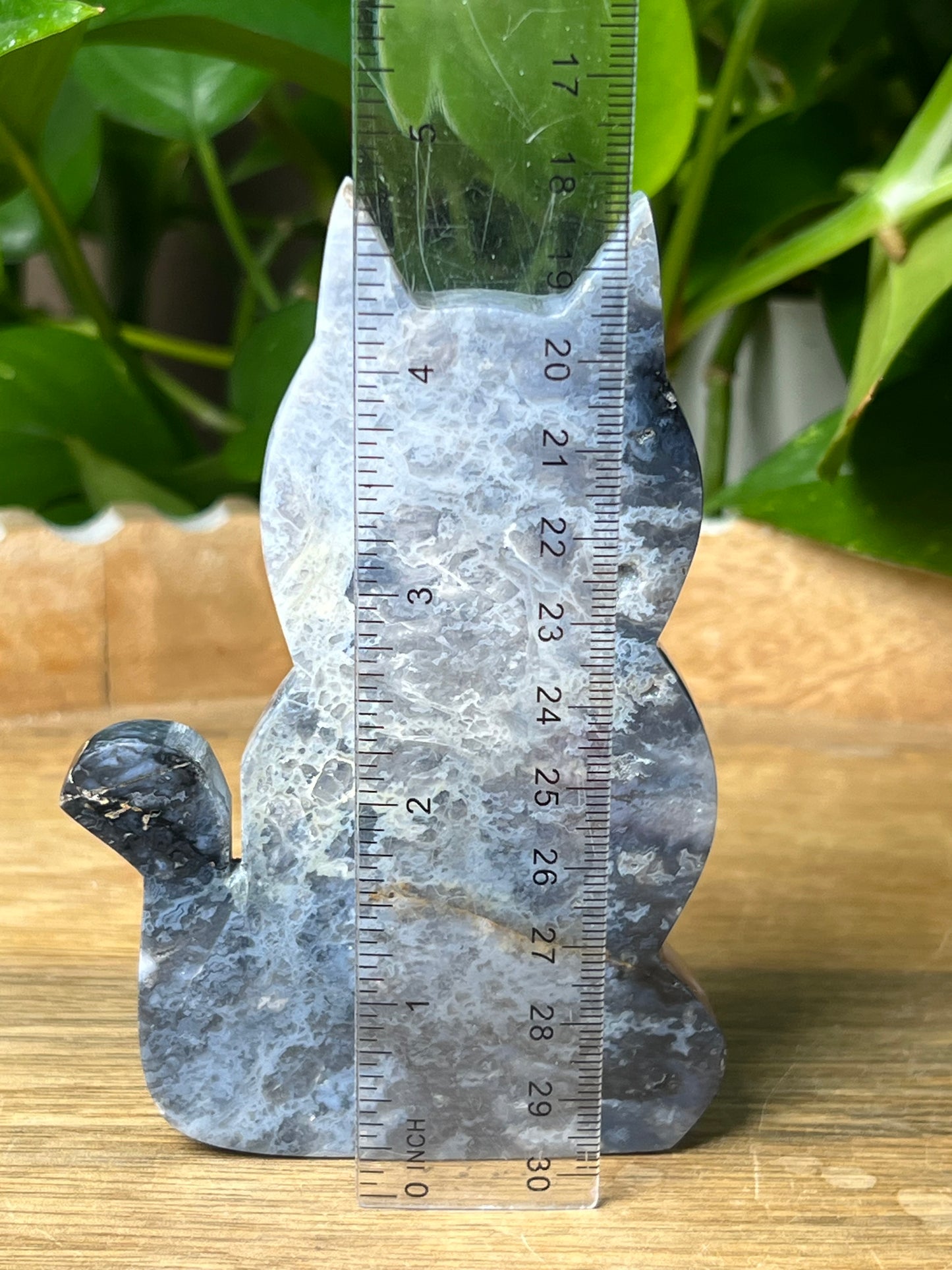 Blue Plume Agate Cat