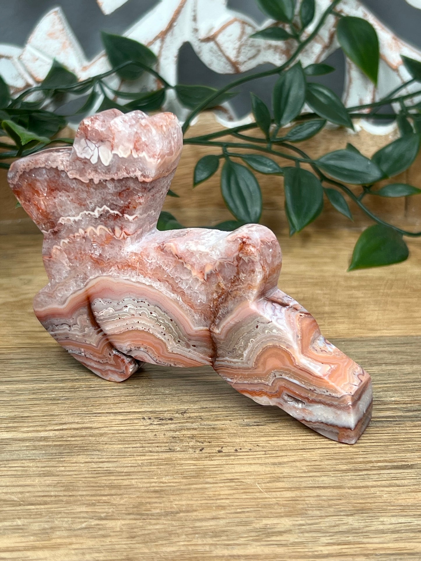 Pink Crazy Lace Agate Deer