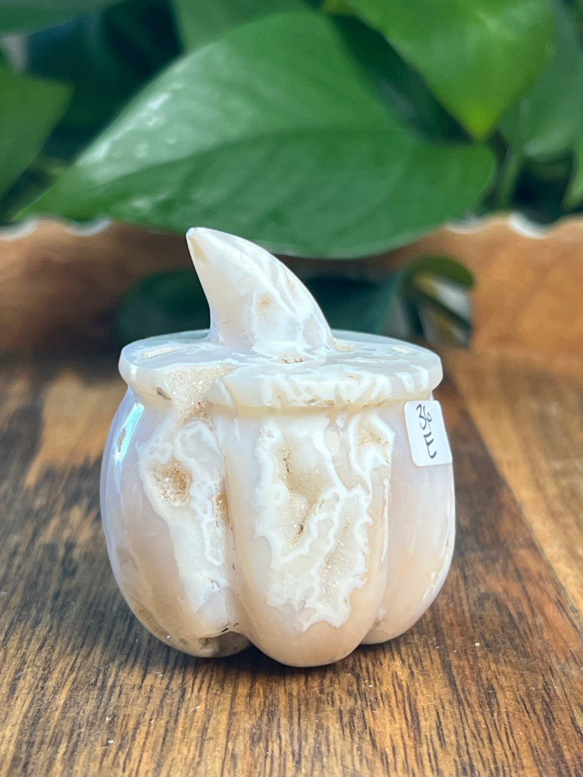 White Plume Agate Pumpkin: E